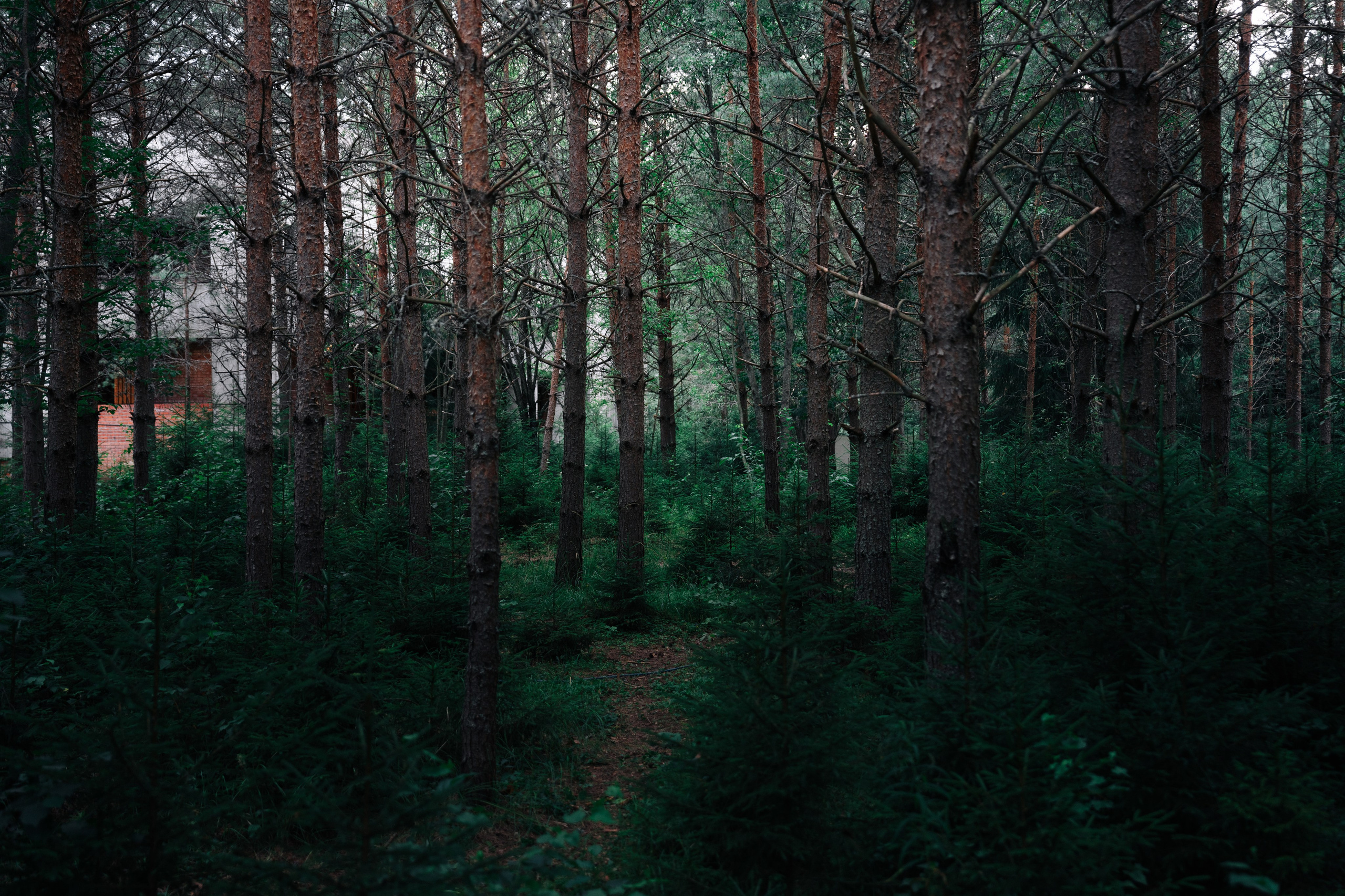 Outline 2024. @tomrus: Рустам Шагиморданов — фотограф