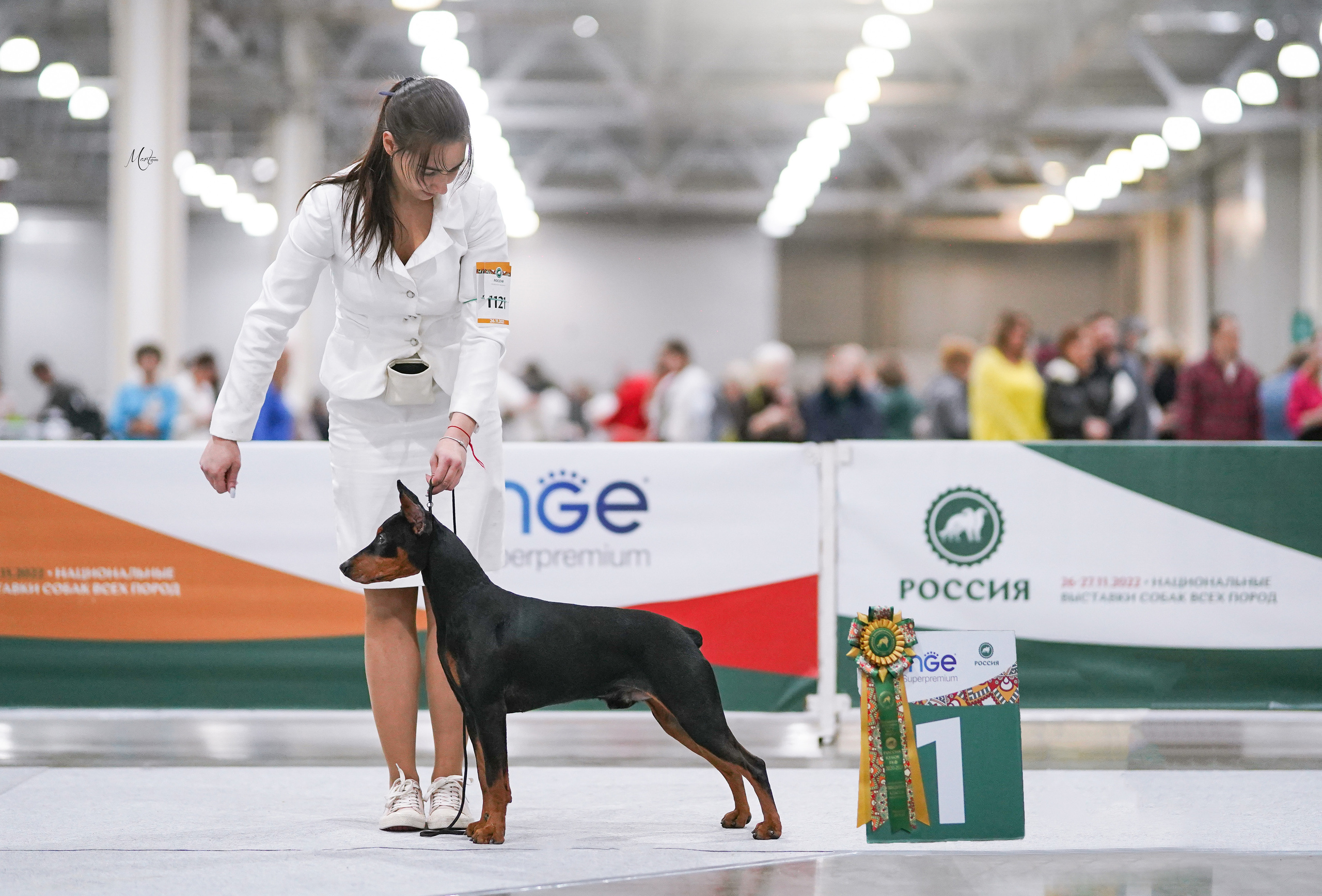 Выставки 2022. Фотограф-анималист в Санкт-Петербурге Яна Мартынова