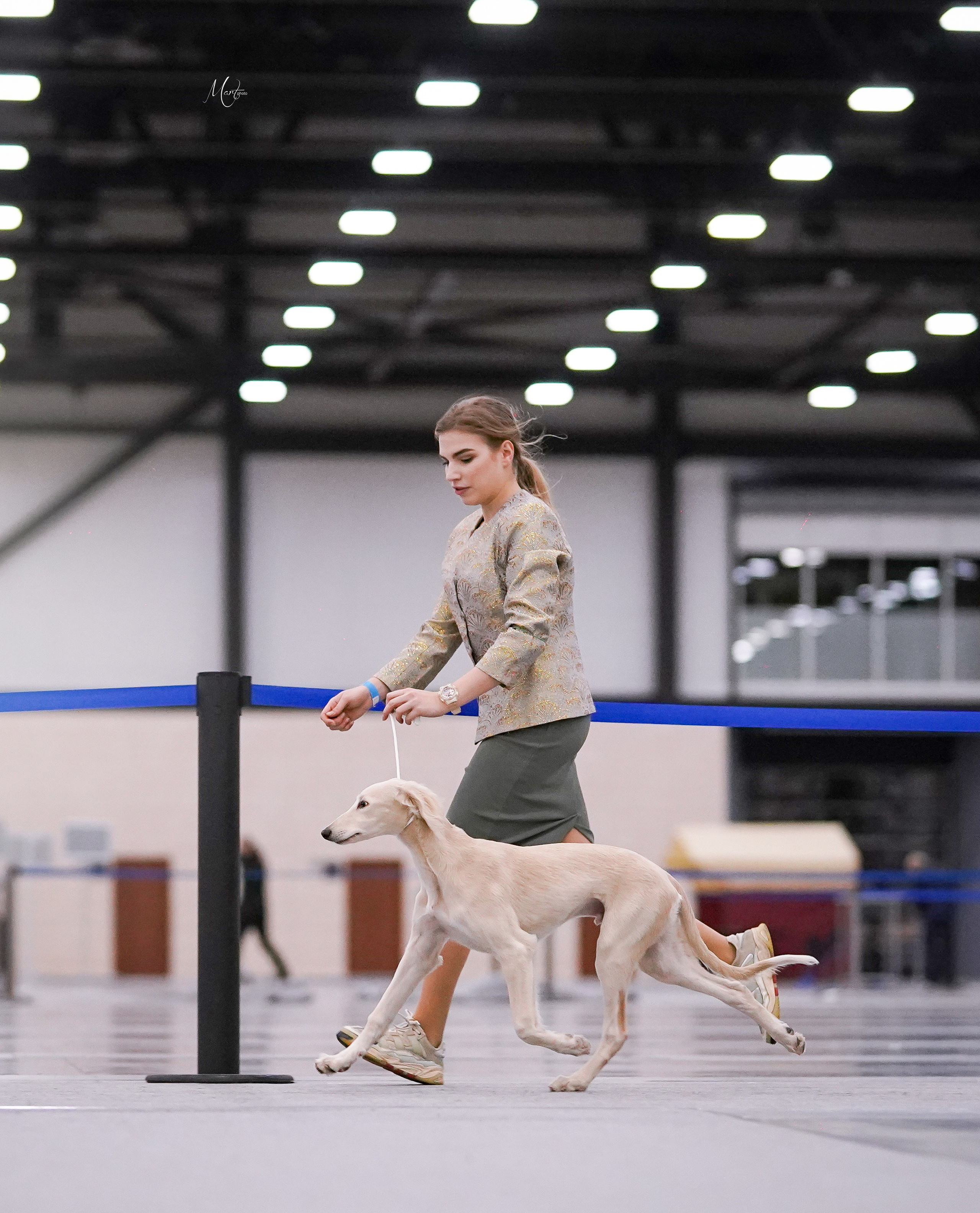 Выставки 2022. Фотограф-анималист в Санкт-Петербурге Яна Мартынова