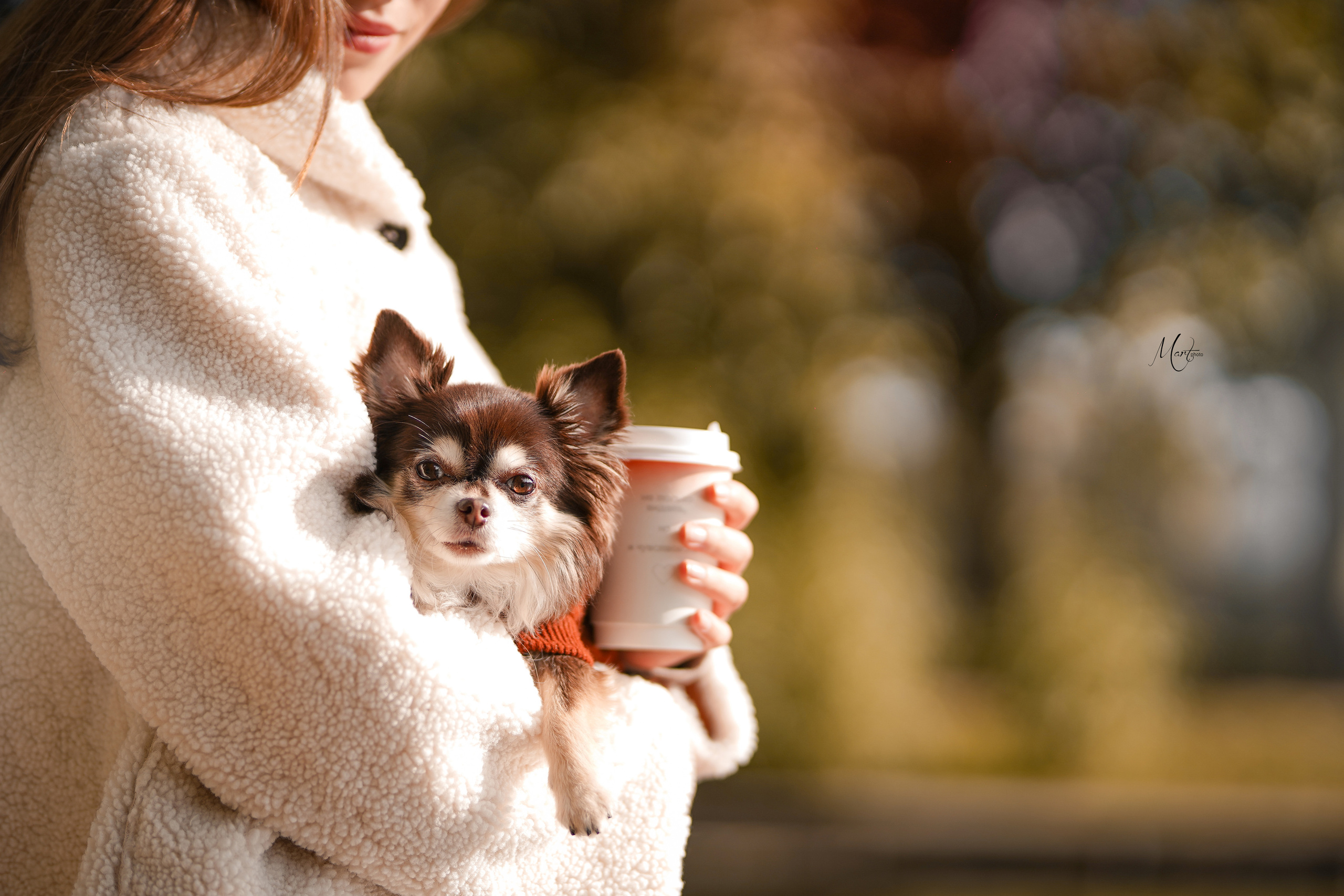 Василиса и Кекс. Фотограф-анималист в Санкт-Петербурге Яна Мартынова