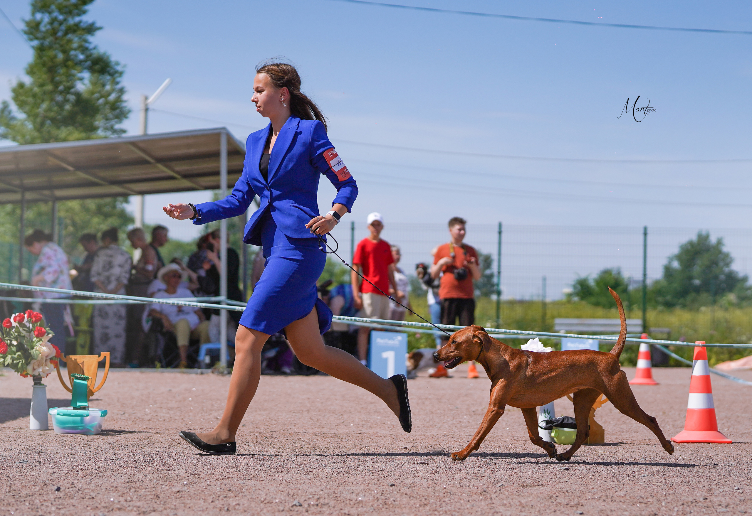 Выставки 2022. Фотограф-анималист в Санкт-Петербурге Яна Мартынова