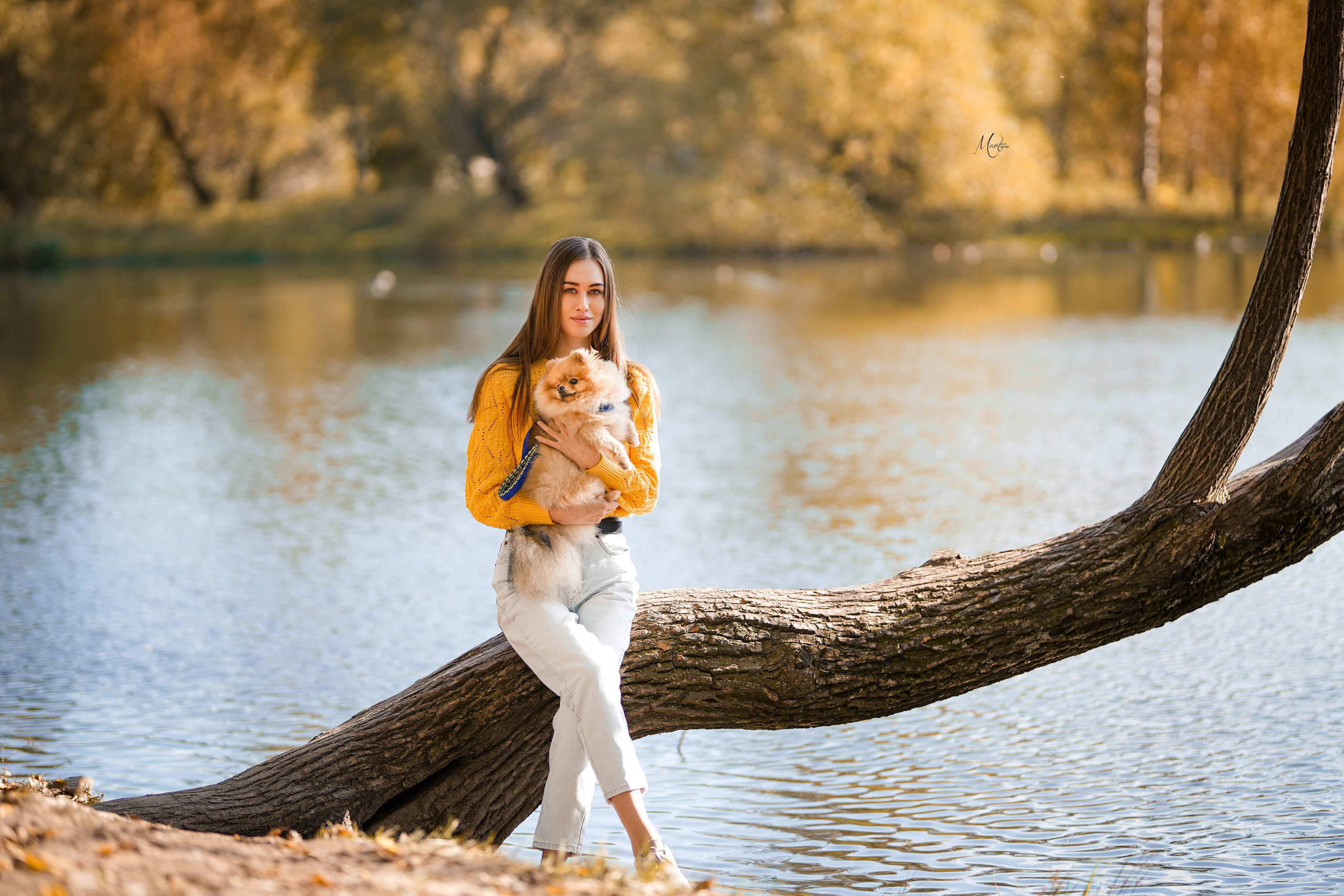 Тедди и его люди. Фотограф-анималист в Санкт-Петербурге Яна Мартынова