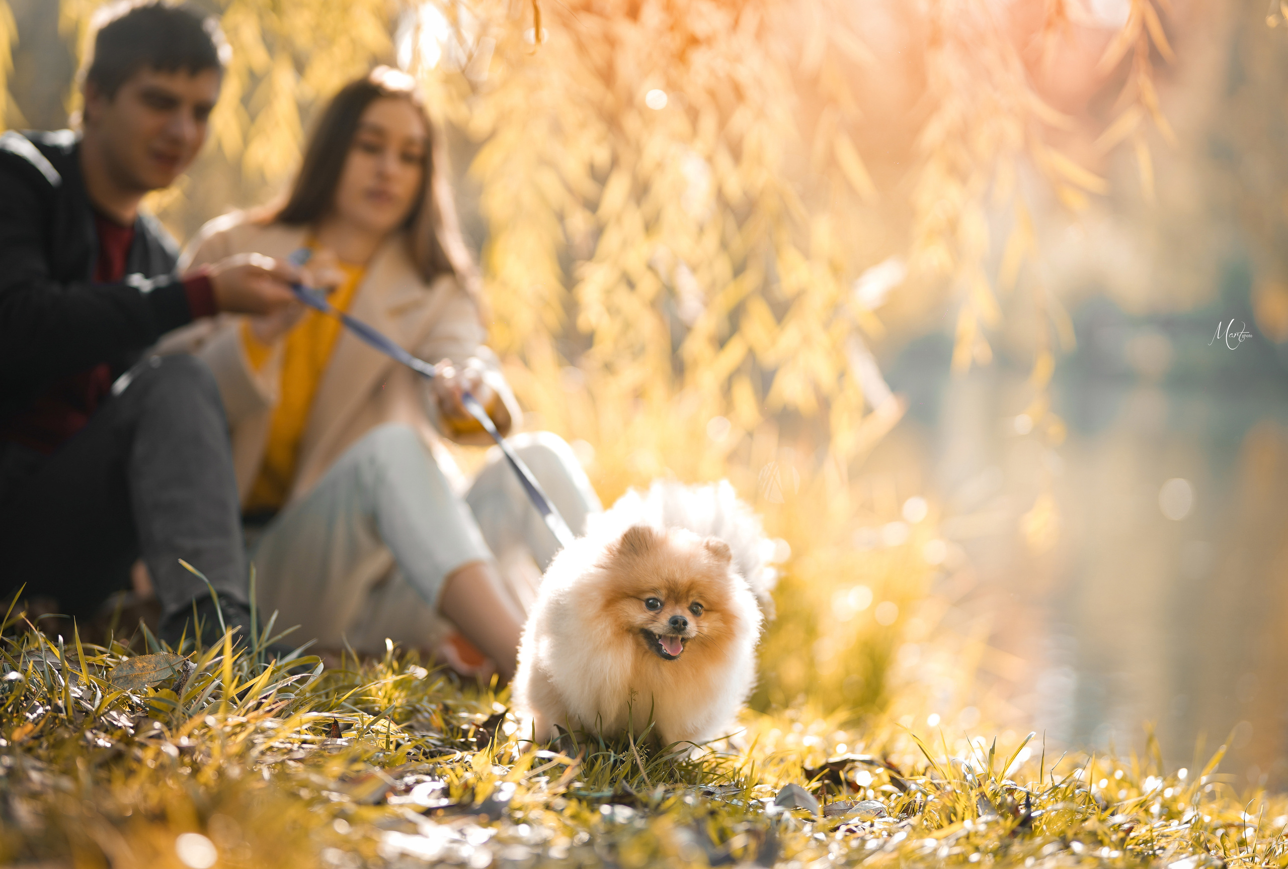 Тедди и его люди. Фотограф-анималист в Санкт-Петербурге Яна Мартынова