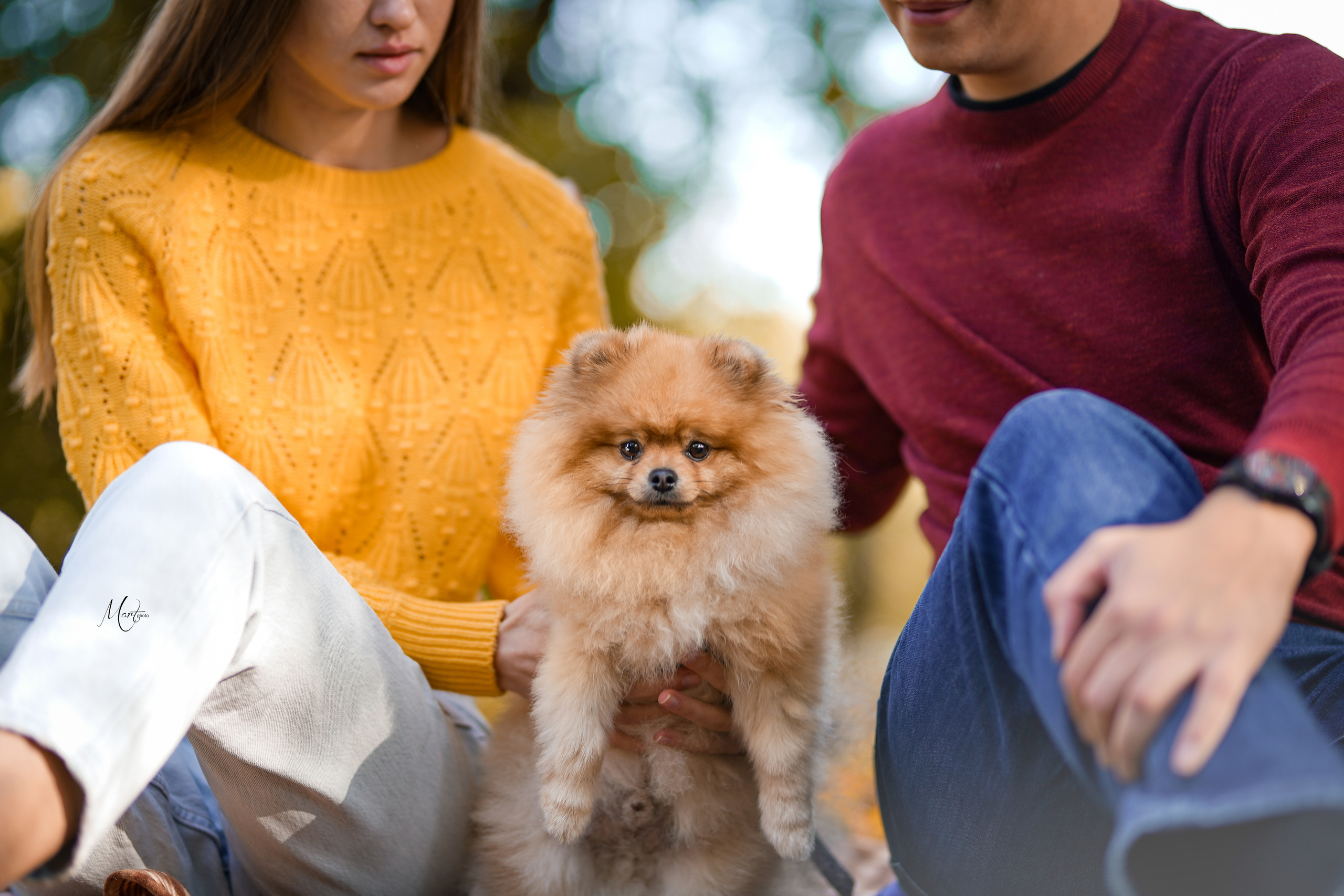 Тедди и его люди. Фотограф-анималист в Санкт-Петербурге Яна Мартынова