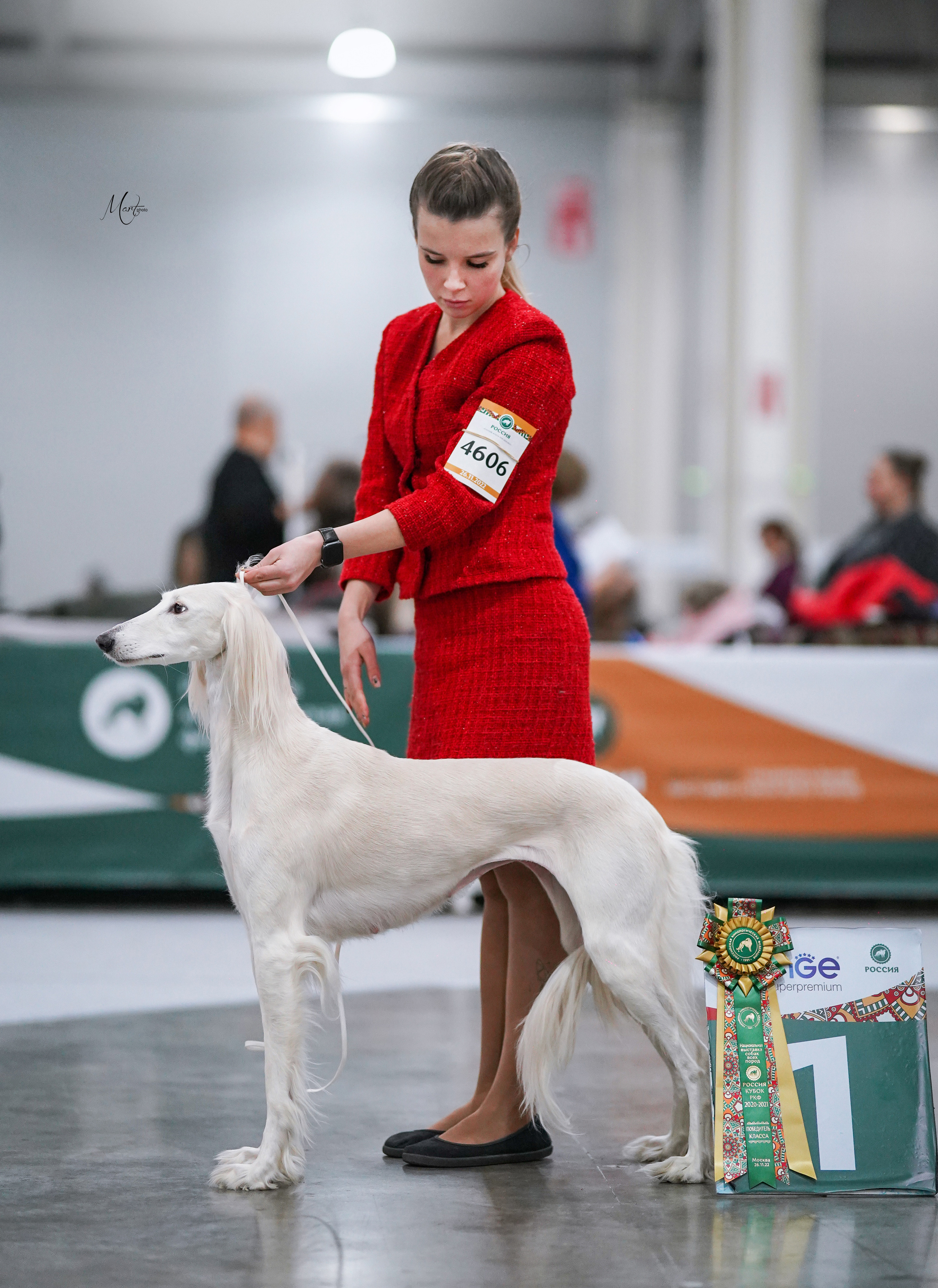 Выставки 2022. Фотограф-анималист в Санкт-Петербурге Яна Мартынова