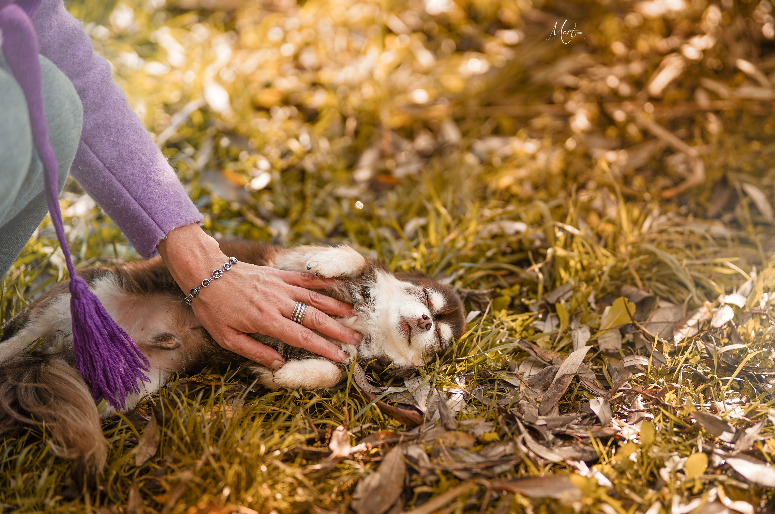 Василиса и Кекс. Фотограф-анималист в Санкт-Петербурге Яна Мартынова