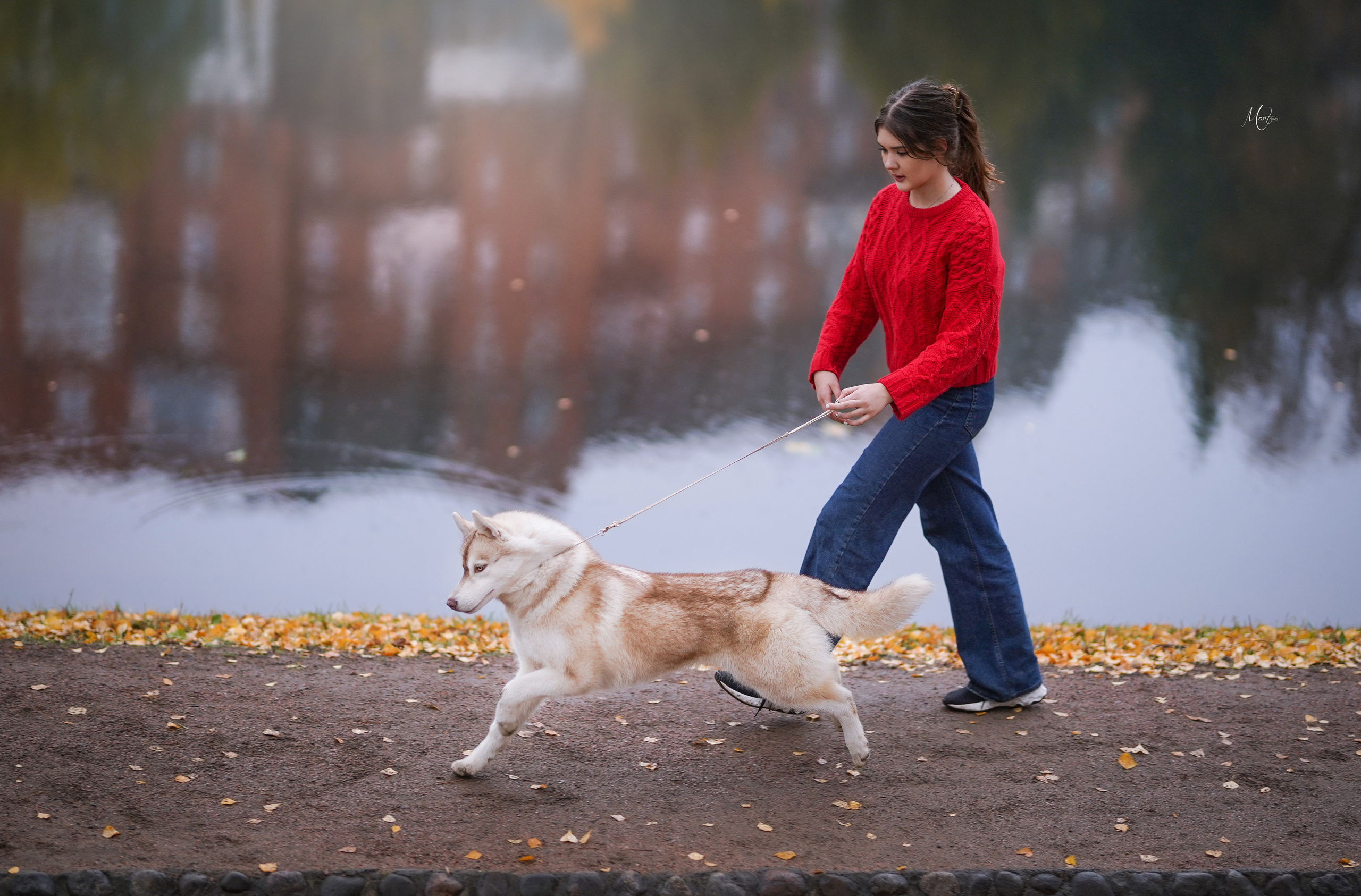 Саша и хаси. Фотограф-анималист в Санкт-Петербурге Яна Мартынова