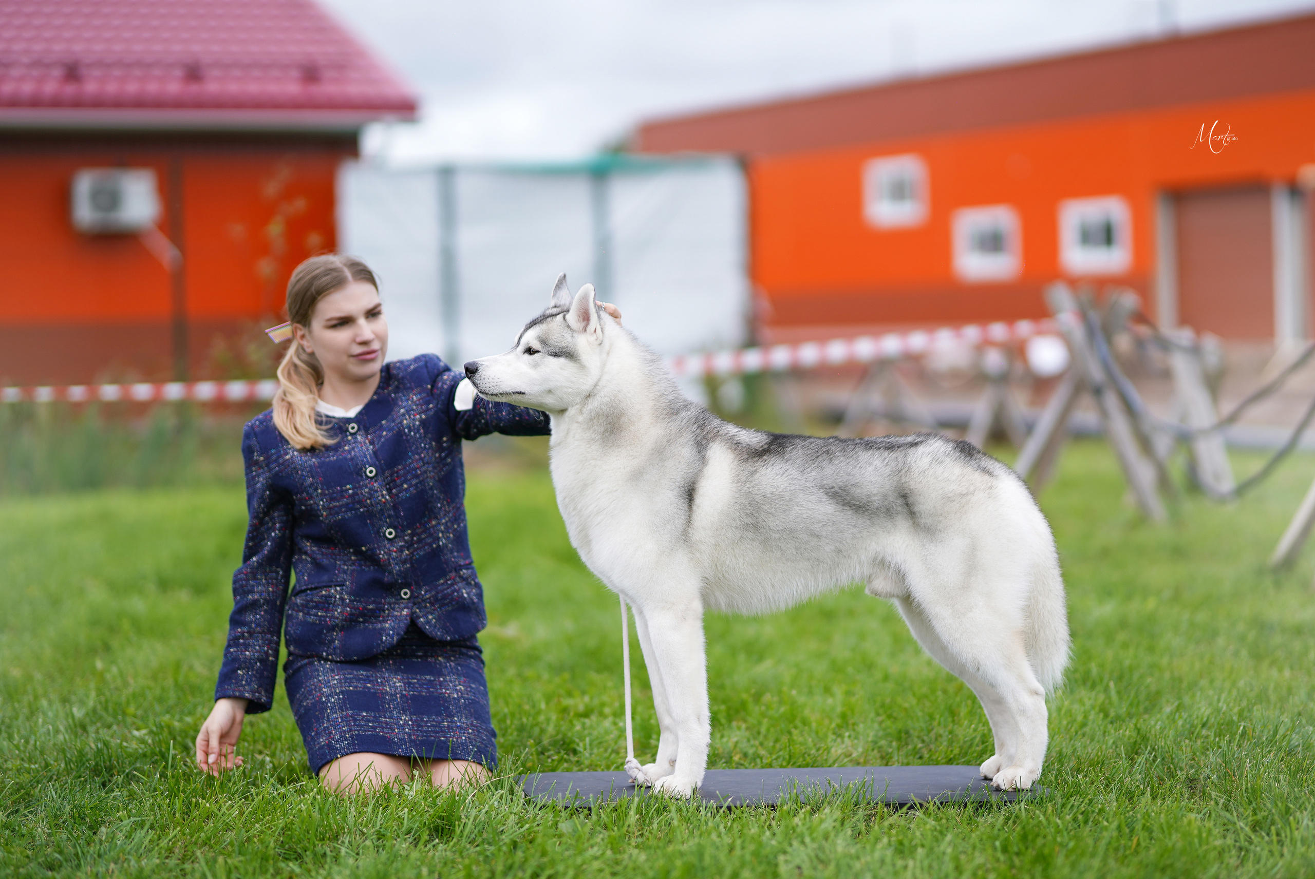 Экстерьерная съемка 2022. Фотограф-анималист в Санкт-Петербурге Яна Мартынова