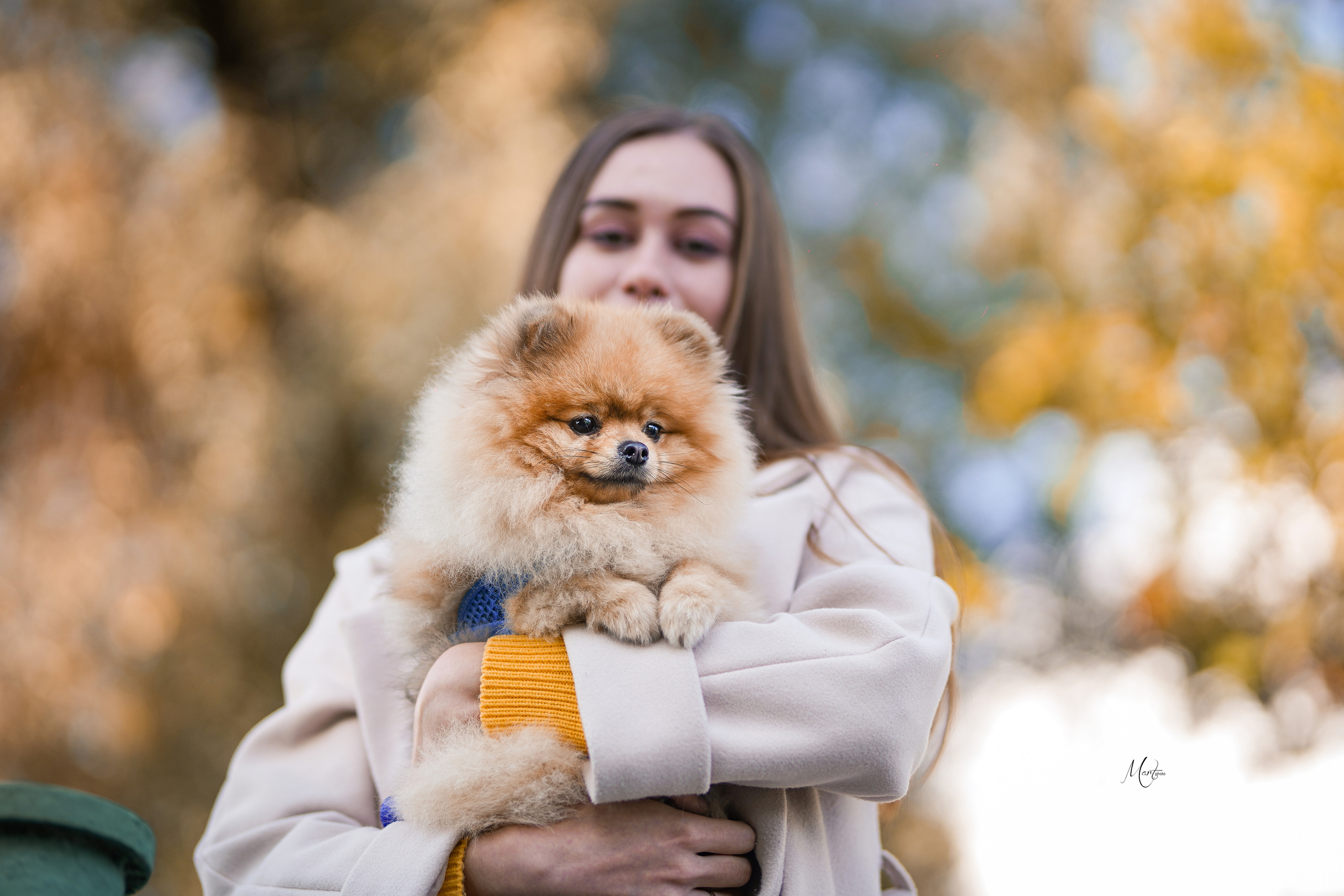 Тедди и его люди. Фотограф-анималист в Санкт-Петербурге Яна Мартынова