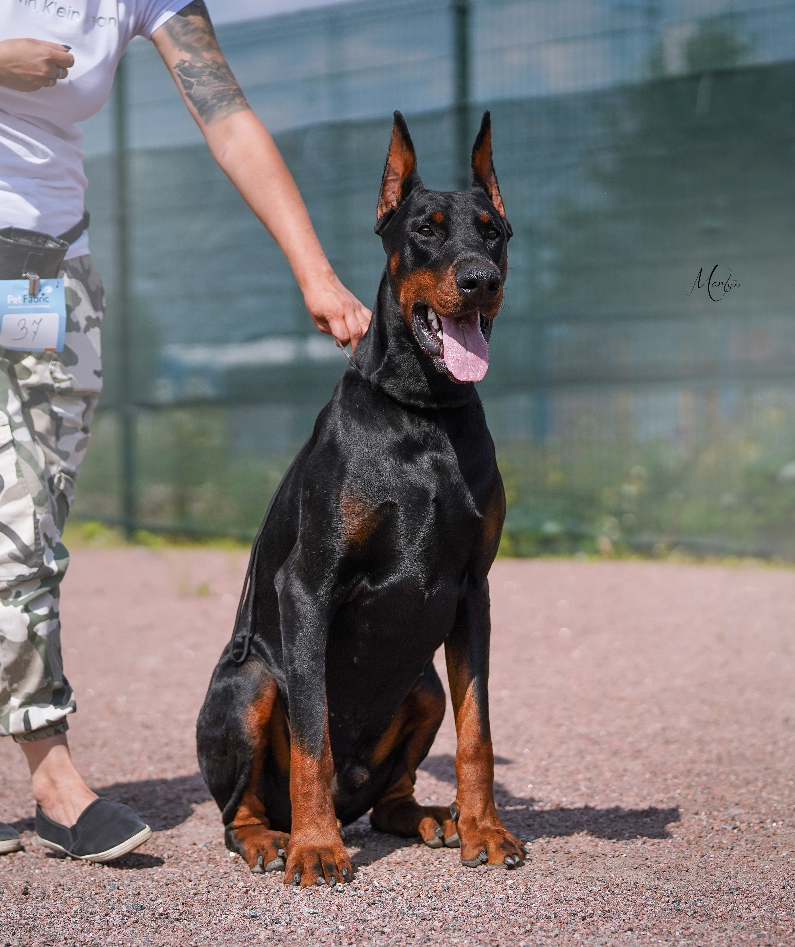 Экстерьерная съемка 2022. Фотограф-анималист в Санкт-Петербурге Яна Мартынова