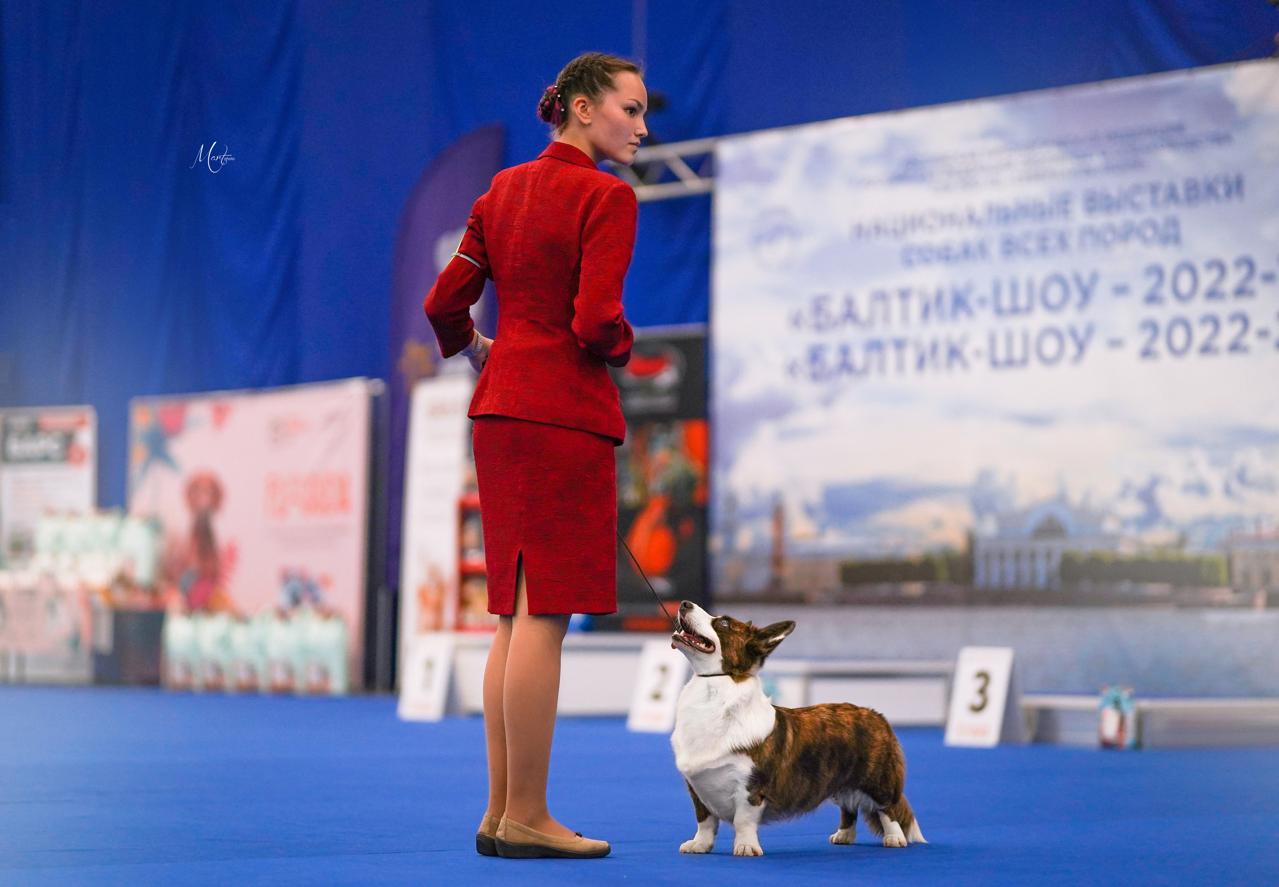 Выставки 2022. Фотограф-анималист в Санкт-Петербурге Яна Мартынова