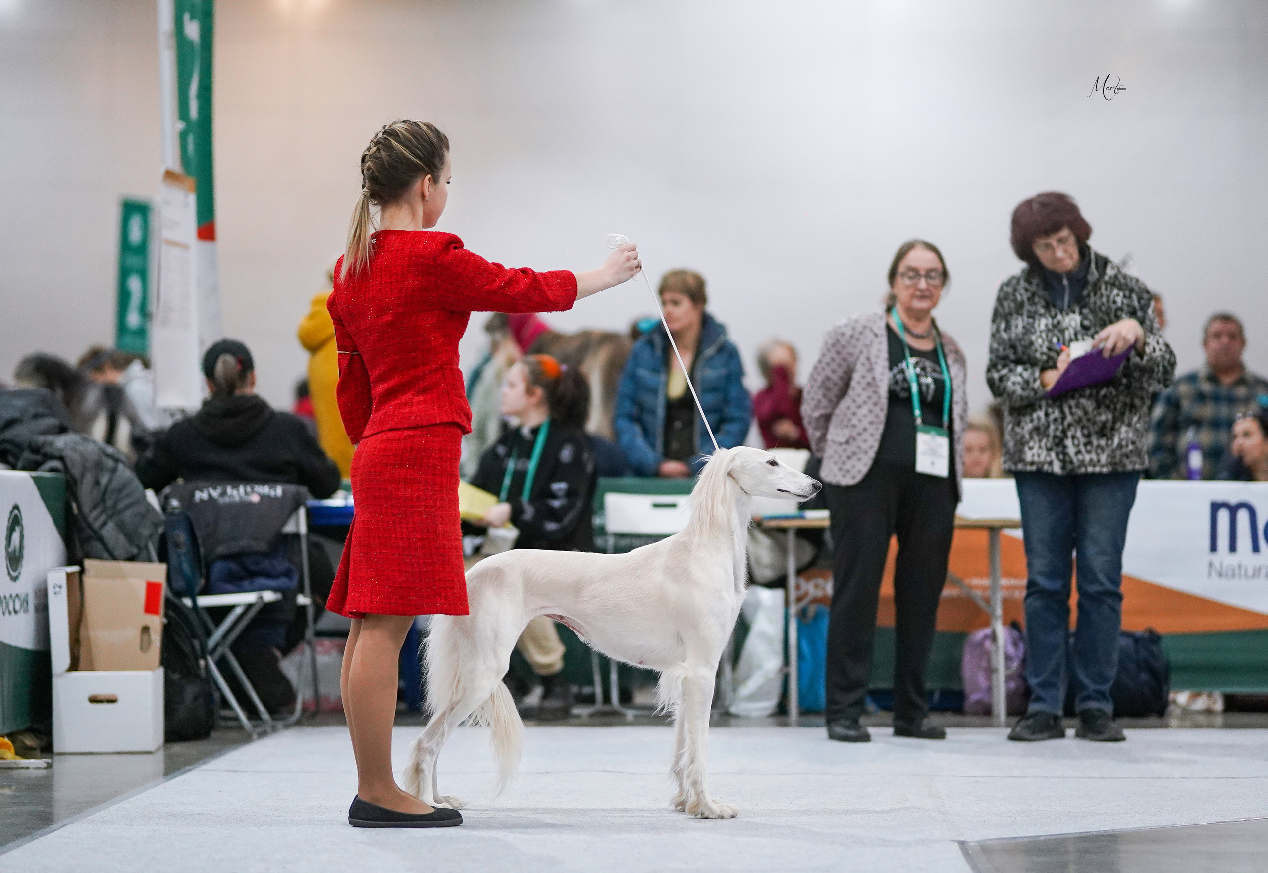 Выставки 2022. Фотограф-анималист в Санкт-Петербурге Яна Мартынова