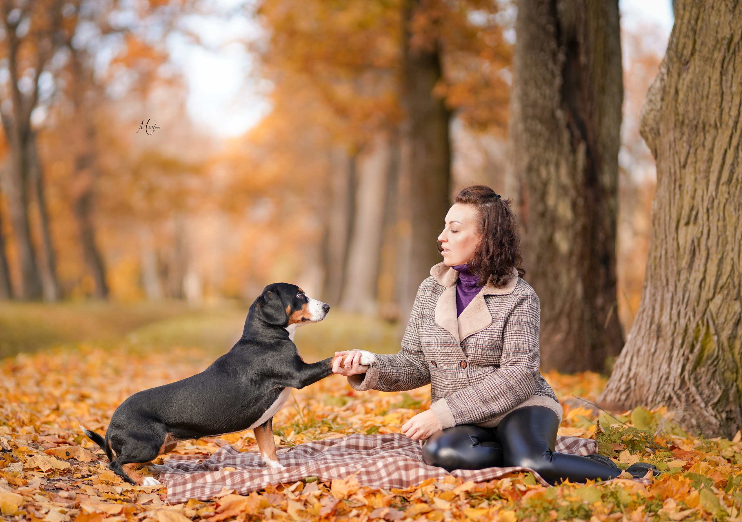 Ксения и Ванда. Фотограф-анималист в Санкт-Петербурге Яна Мартынова