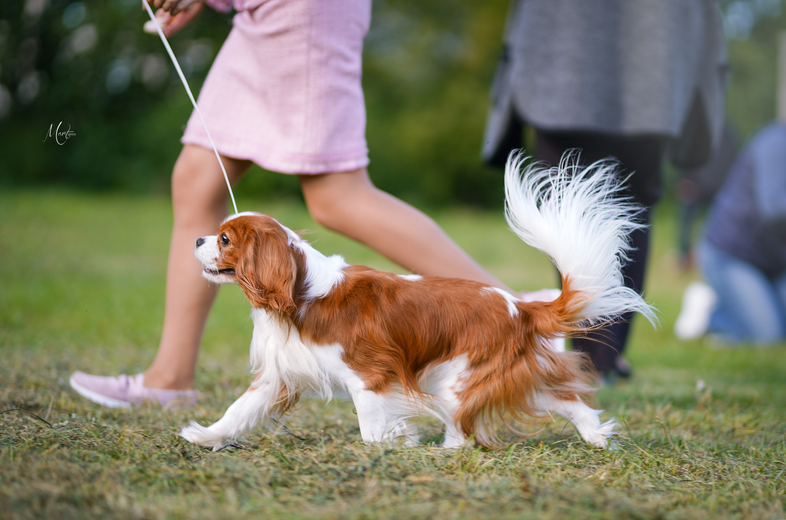 Выставки 2022. Фотограф-анималист в Санкт-Петербурге Яна Мартынова