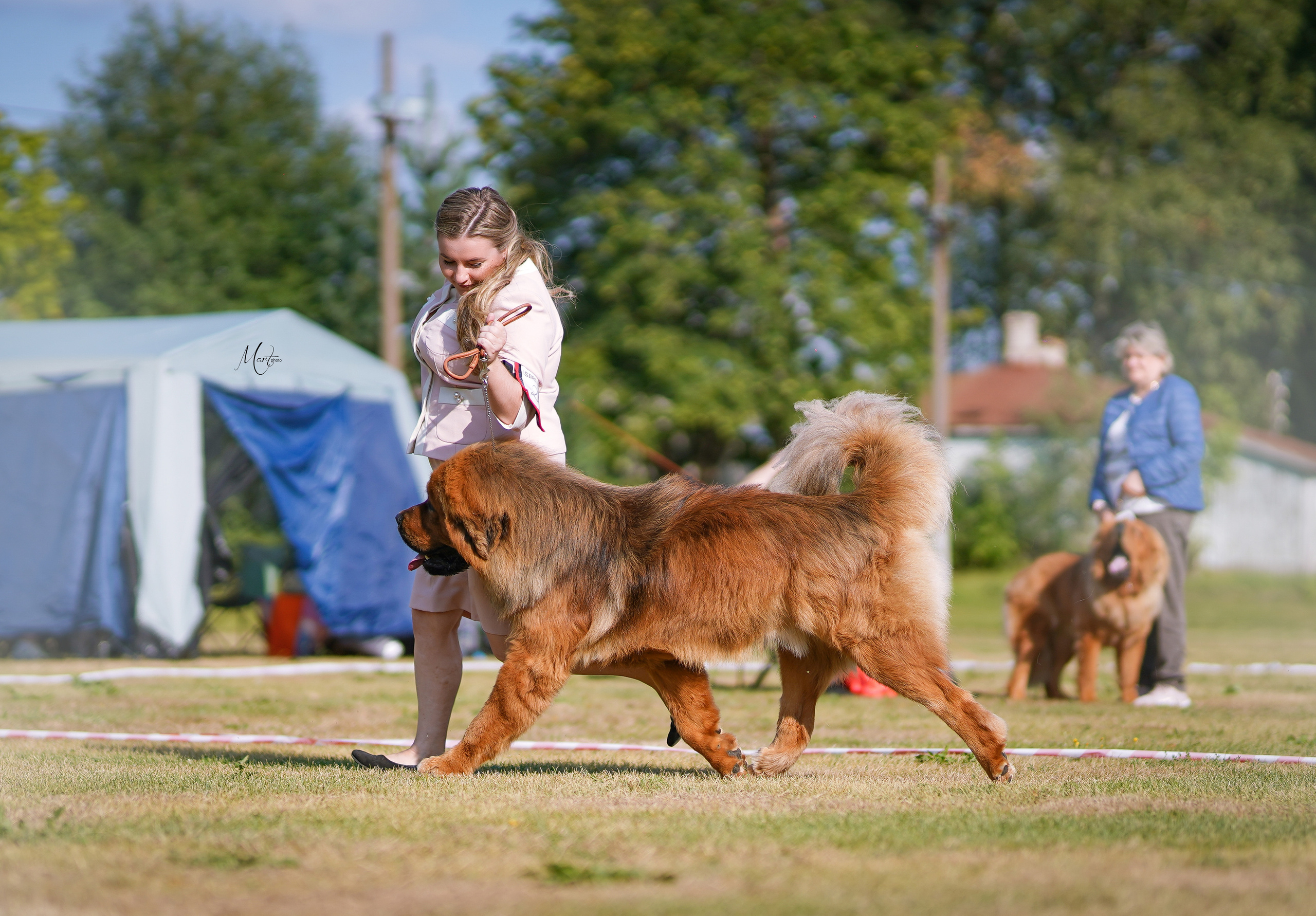 Выставки 2022. Фотограф-анималист в Санкт-Петербурге Яна Мартынова