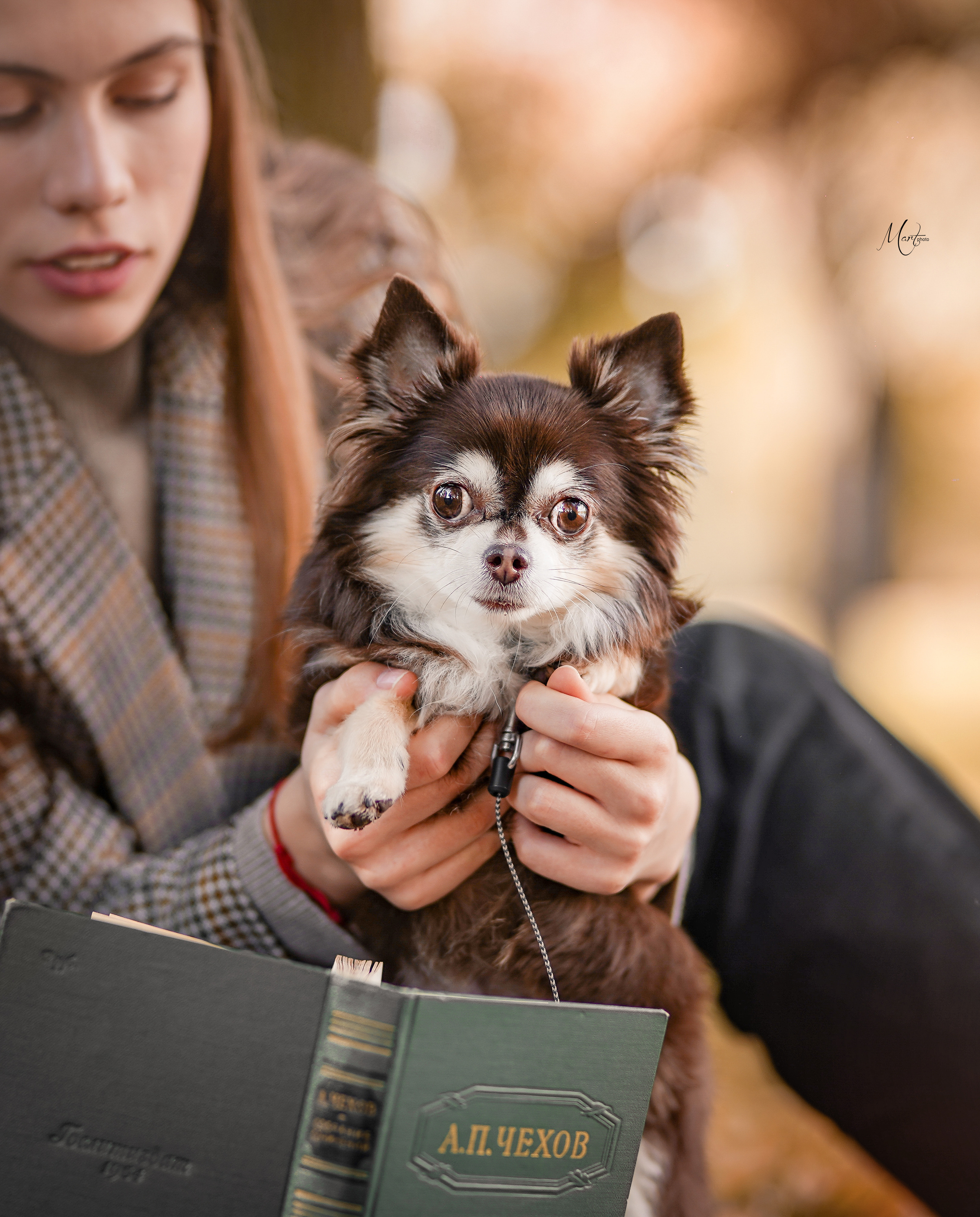 Василиса и Кекс. Фотограф-анималист в Санкт-Петербурге Яна Мартынова