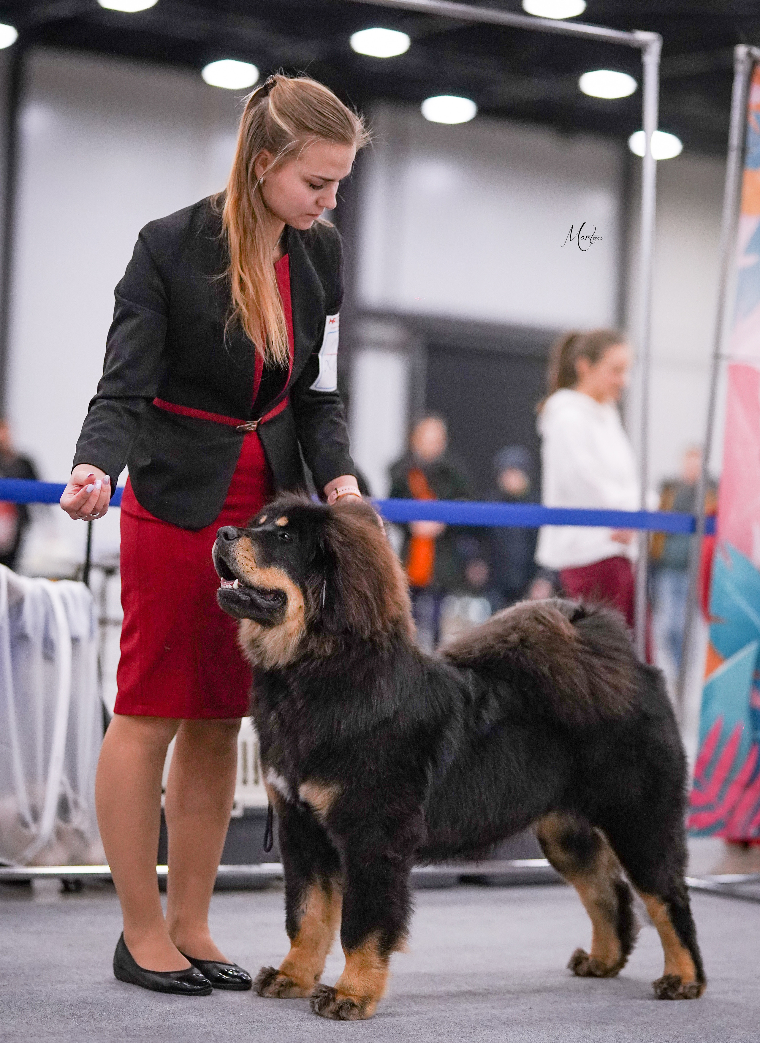 Выставки 2022. Фотограф-анималист в Санкт-Петербурге Яна Мартынова