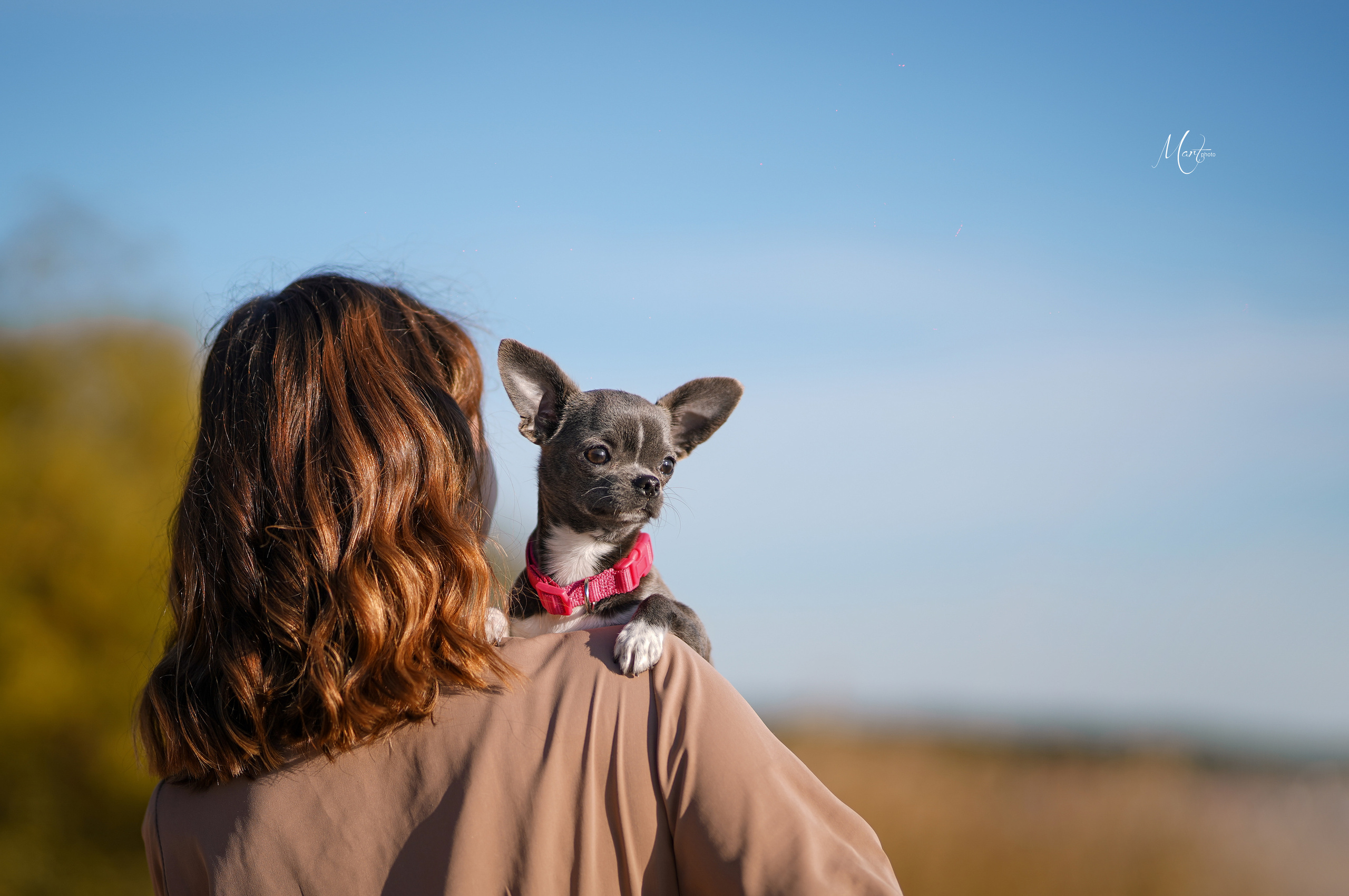 Кристина и банда чихов. Фотограф-анималист в Санкт-Петербурге Яна Мартынова