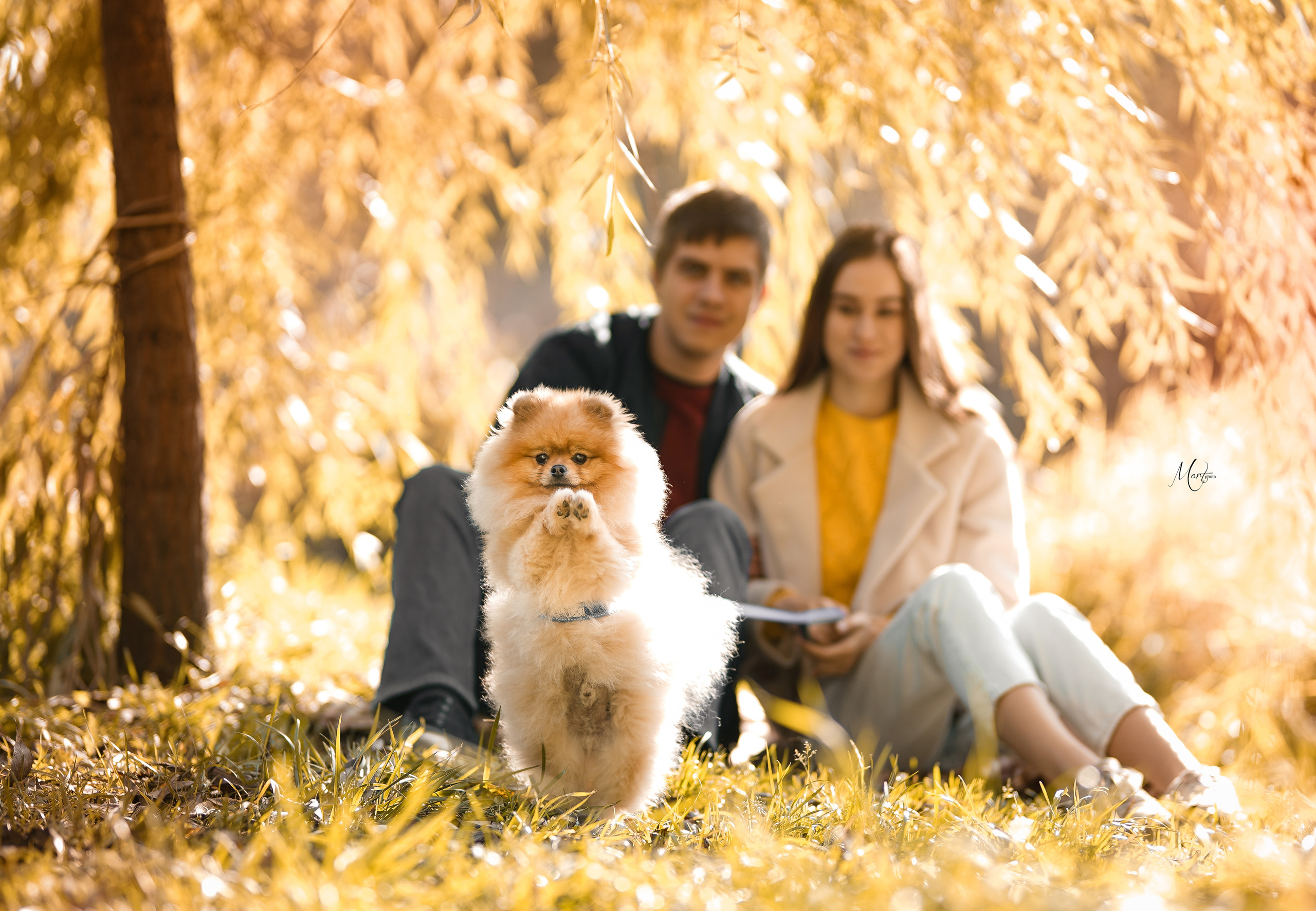 Тедди и его люди. Фотограф-анималист в Санкт-Петербурге Яна Мартынова