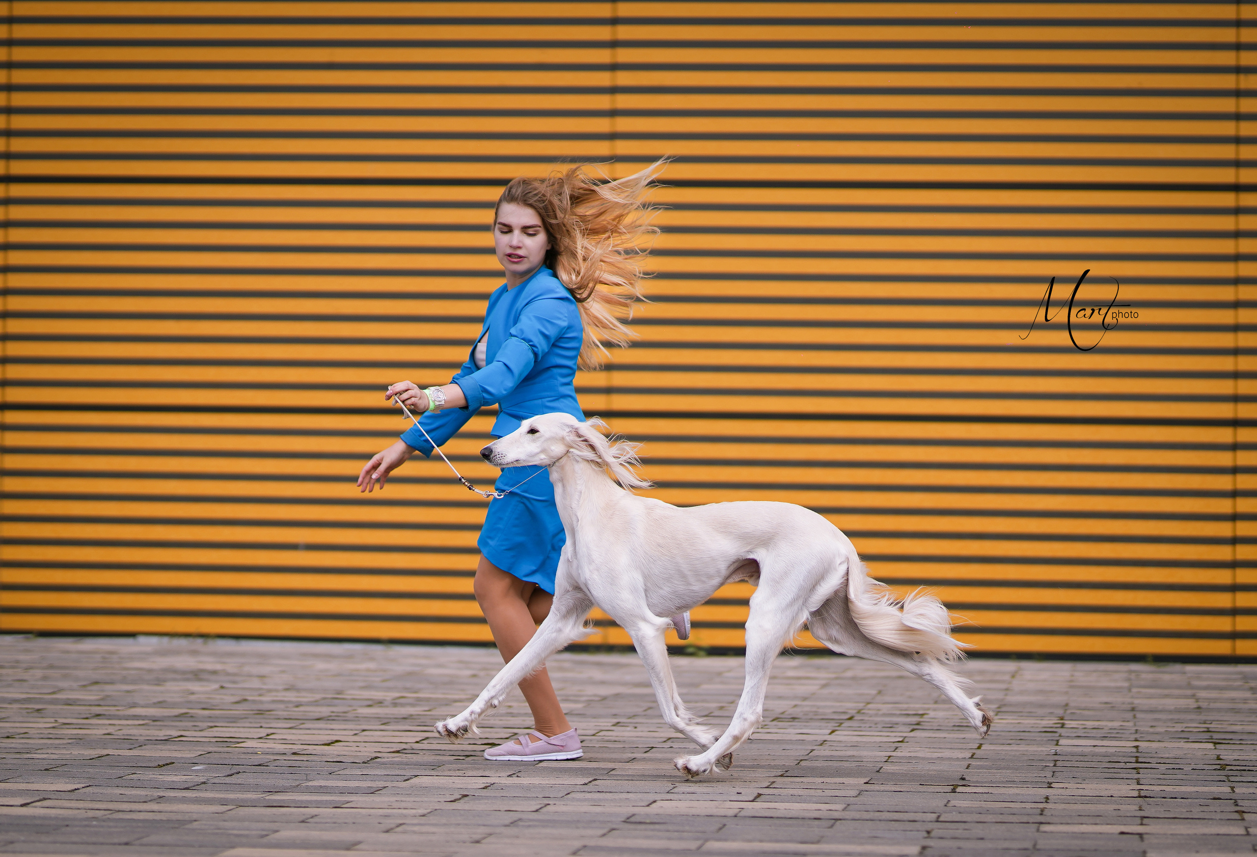 Экстерьерная съемка 2022. Фотограф-анималист в Санкт-Петербурге Яна Мартынова