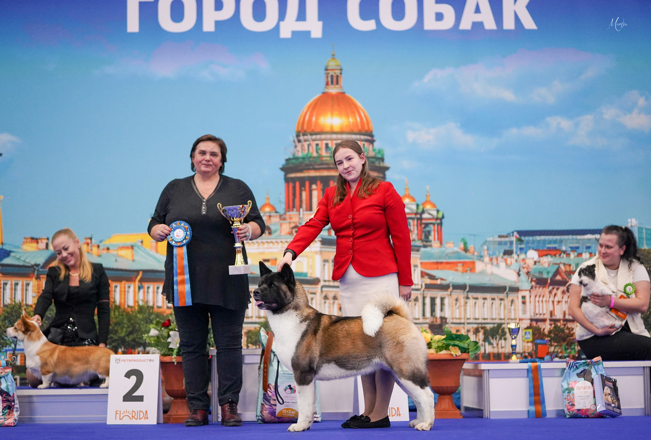 Выставки 2022. Фотограф-анималист в Санкт-Петербурге Яна Мартынова