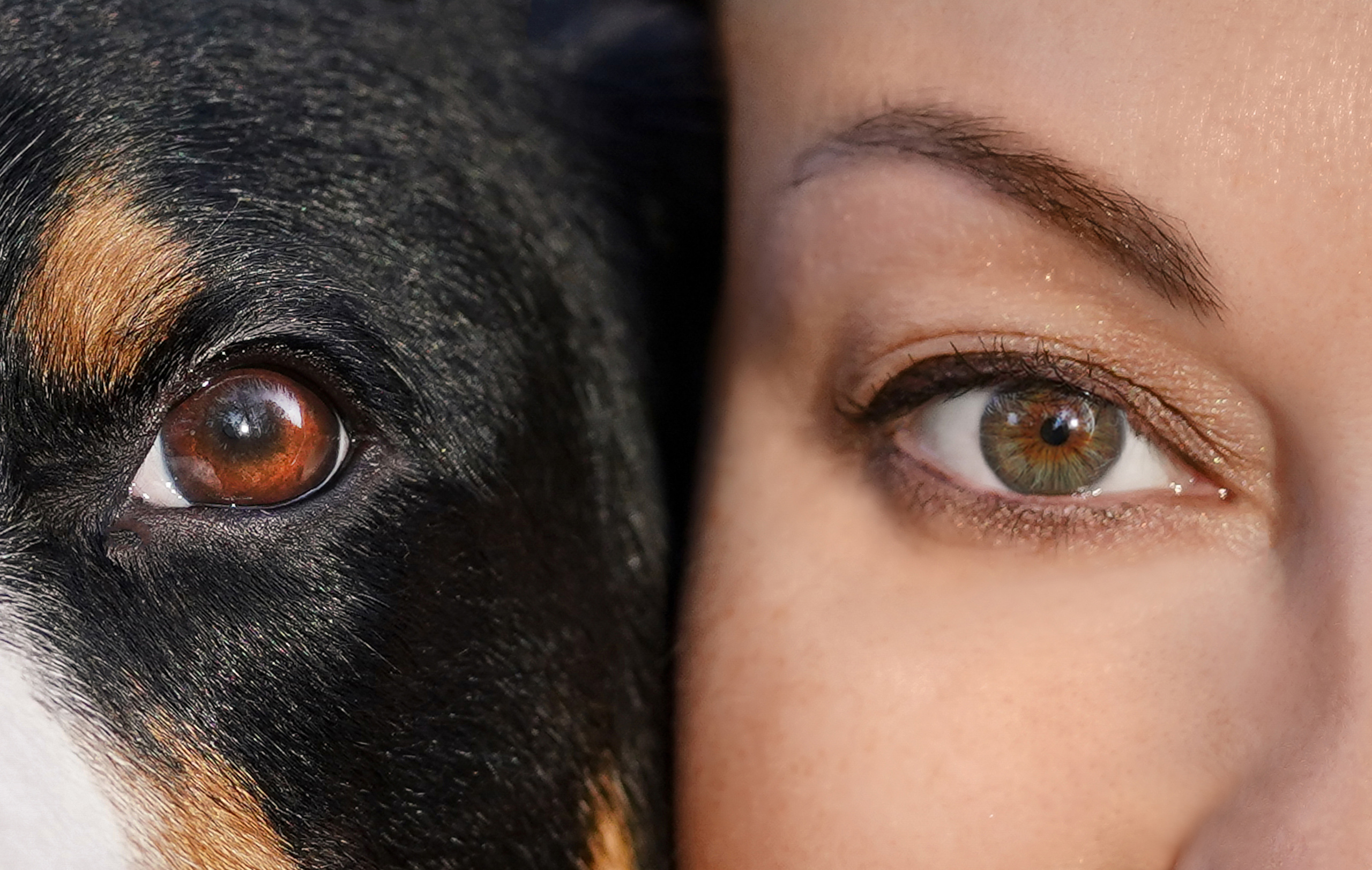 Ксения и Ванда. Фотограф-анималист в Санкт-Петербурге Яна Мартынова