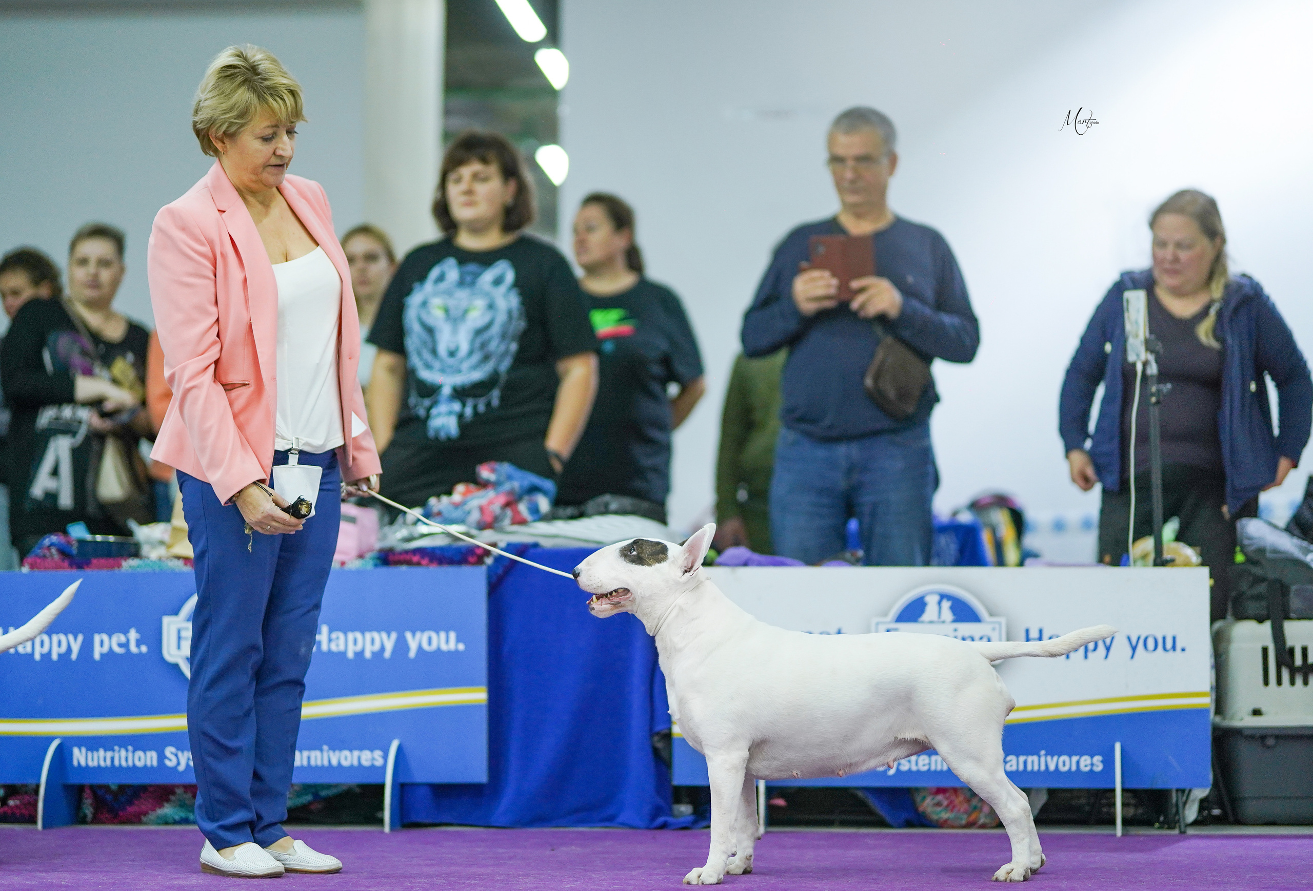 Выставки 2022. Фотограф-анималист в Санкт-Петербурге Яна Мартынова