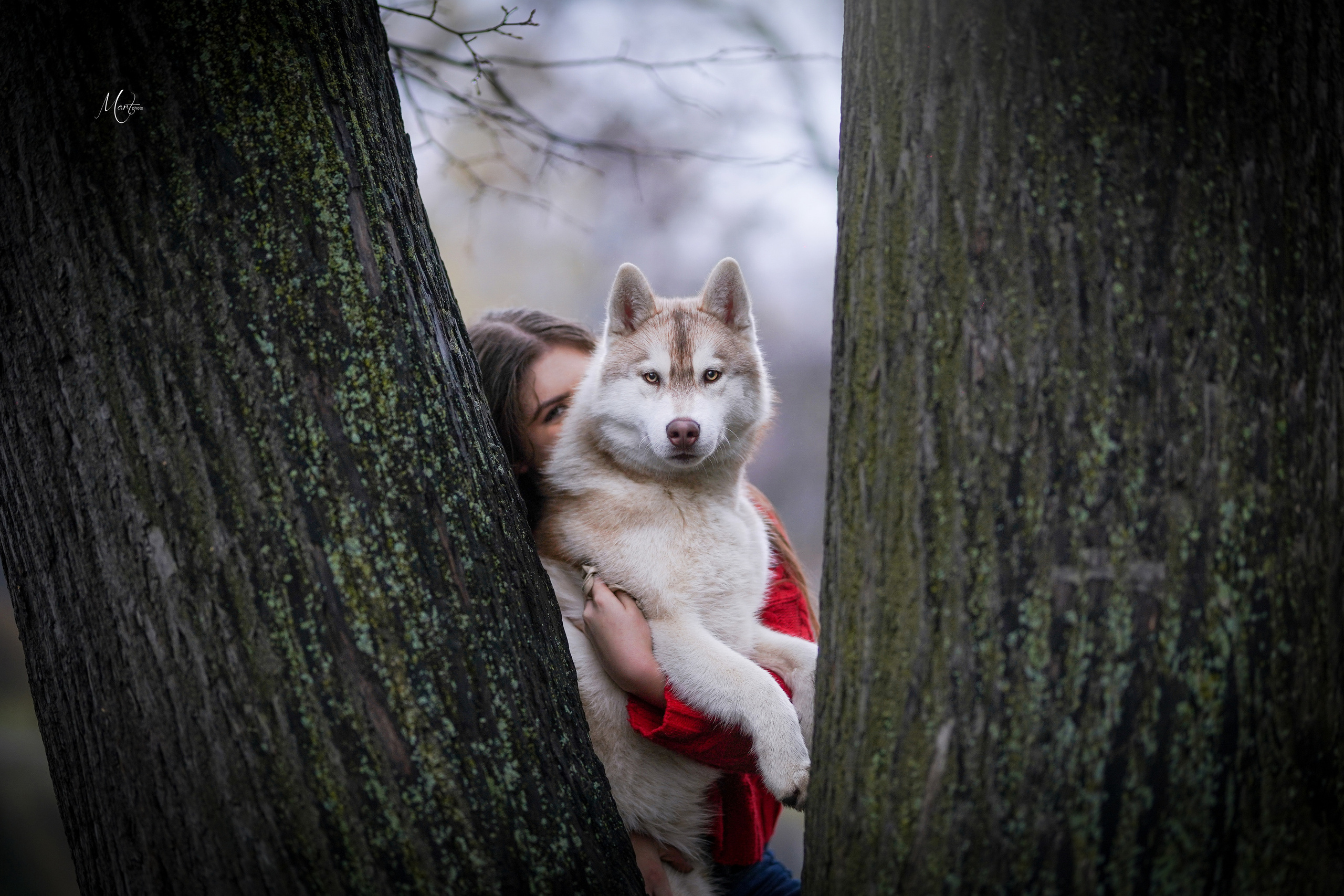 Саша и хаси. Фотограф-анималист в Санкт-Петербурге Яна Мартынова