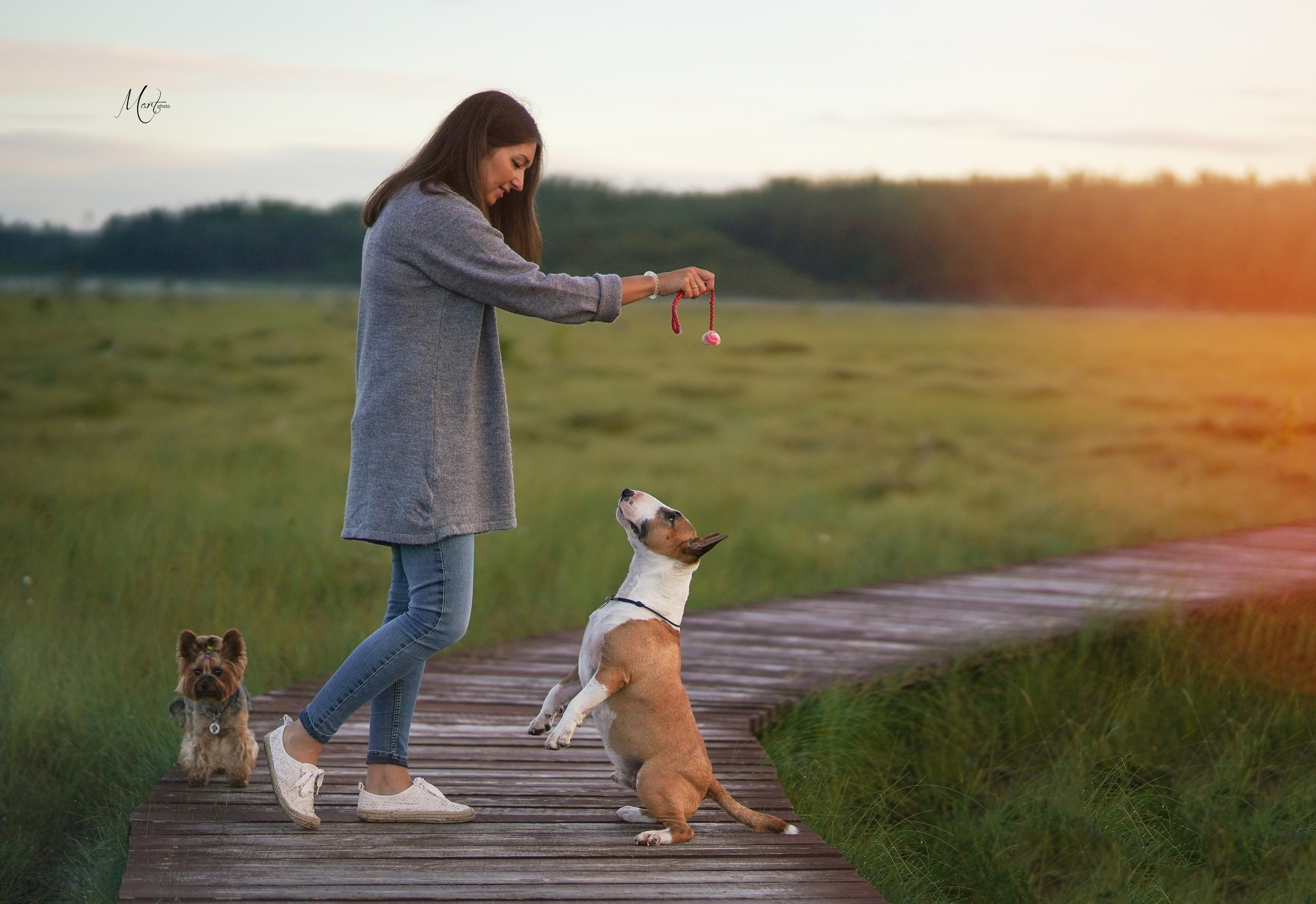 Сестрорецкое болото. Фотограф-анималист в Санкт-Петербурге Яна Мартынова