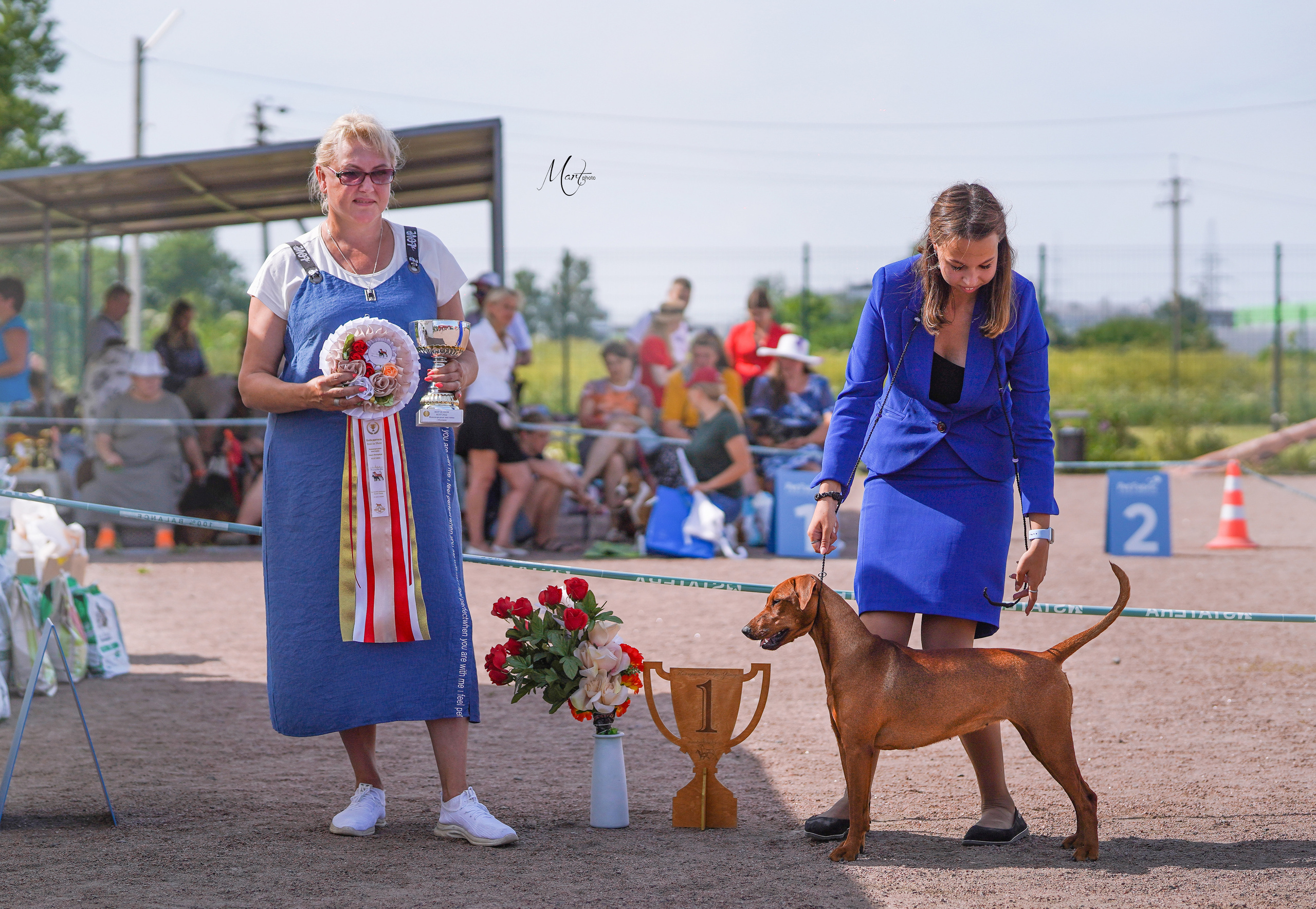 Выставки 2022. Фотограф-анималист в Санкт-Петербурге Яна Мартынова