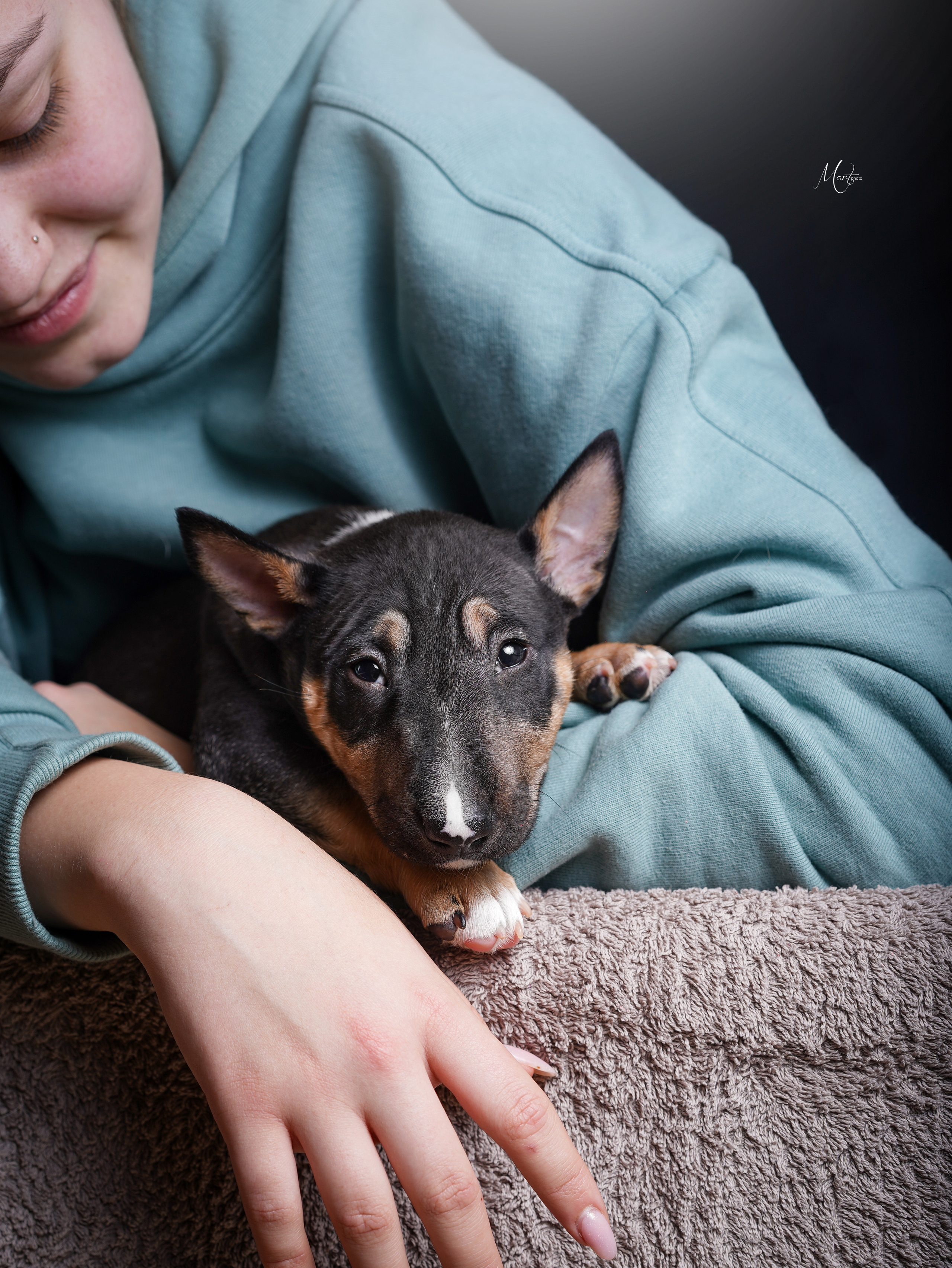 Щенки минибуля. Фотограф-анималист в Санкт-Петербурге Яна Мартынова
