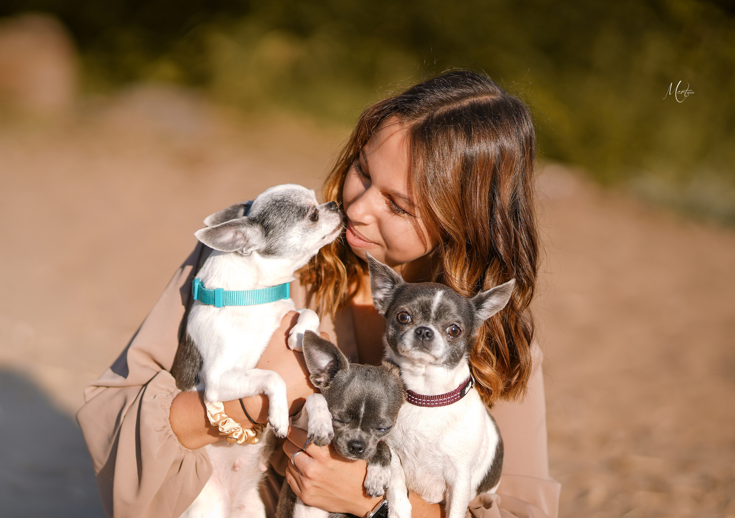 Кристина и банда чихов. Фотограф-анималист в Санкт-Петербурге Яна Мартынова