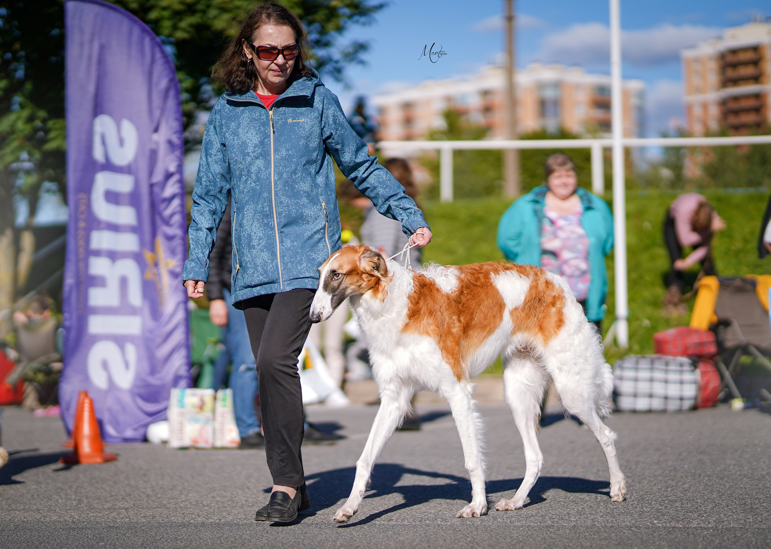 Выставки 2022. Фотограф-анималист в Санкт-Петербурге Яна Мартынова