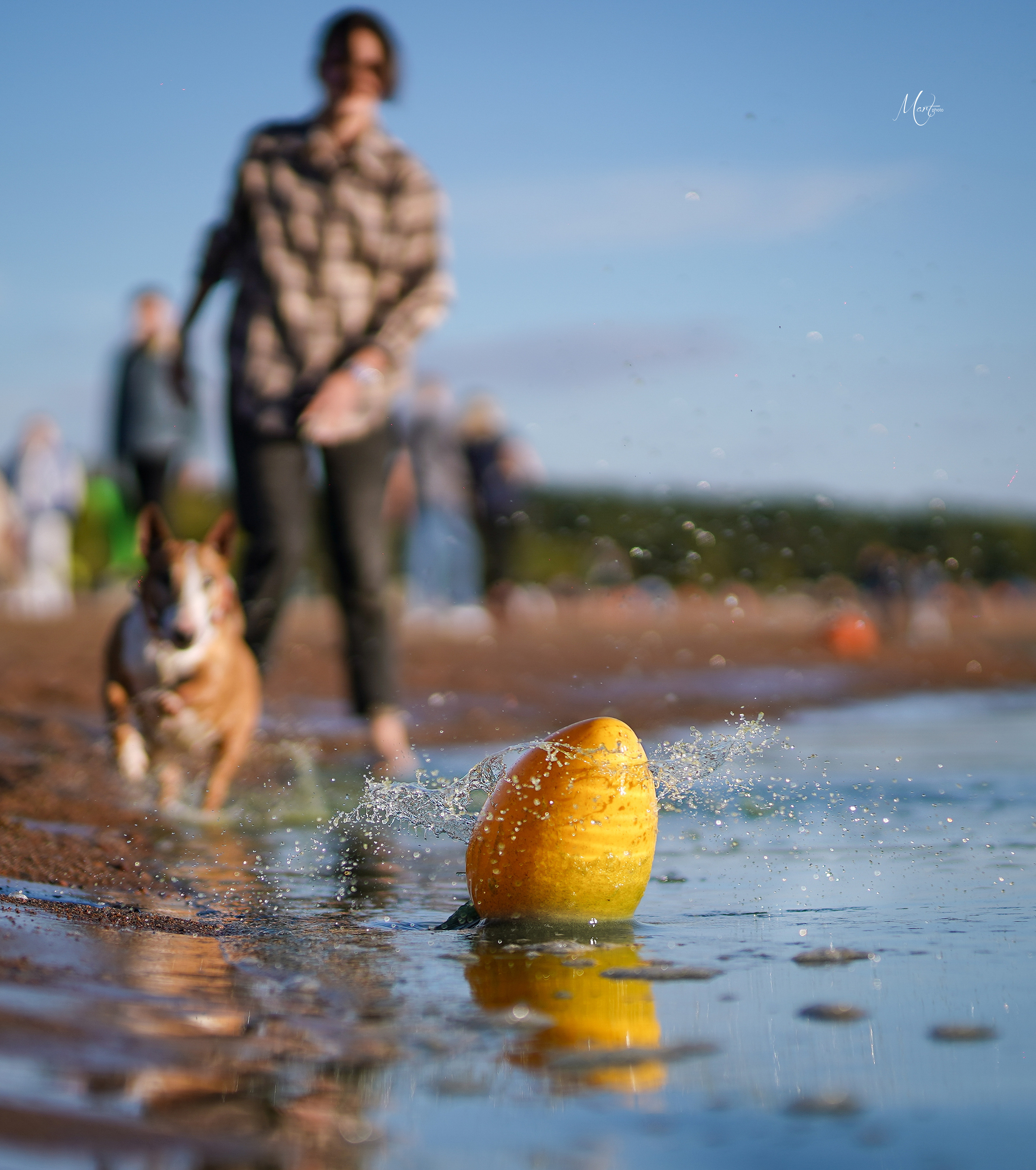 Моня, Оксана и Таисия. Фотограф-анималист в Санкт-Петербурге Яна Мартынова
