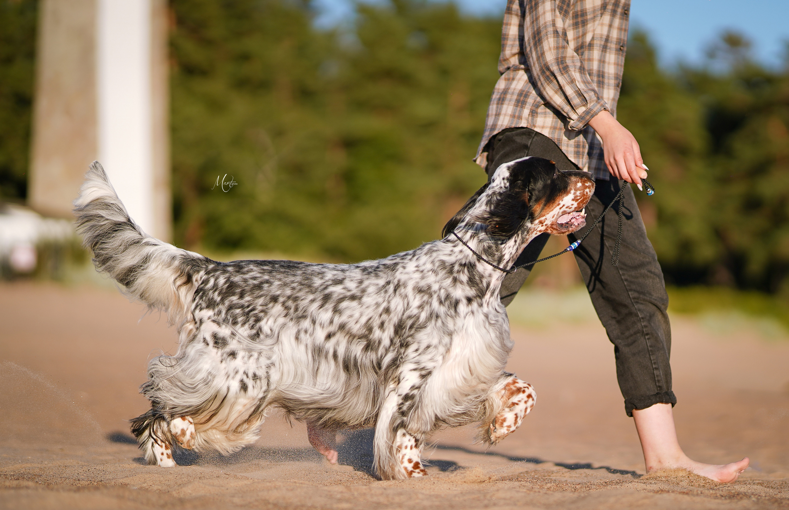 Таисия и Фифа. Фотограф-анималист в Санкт-Петербурге Яна Мартынова