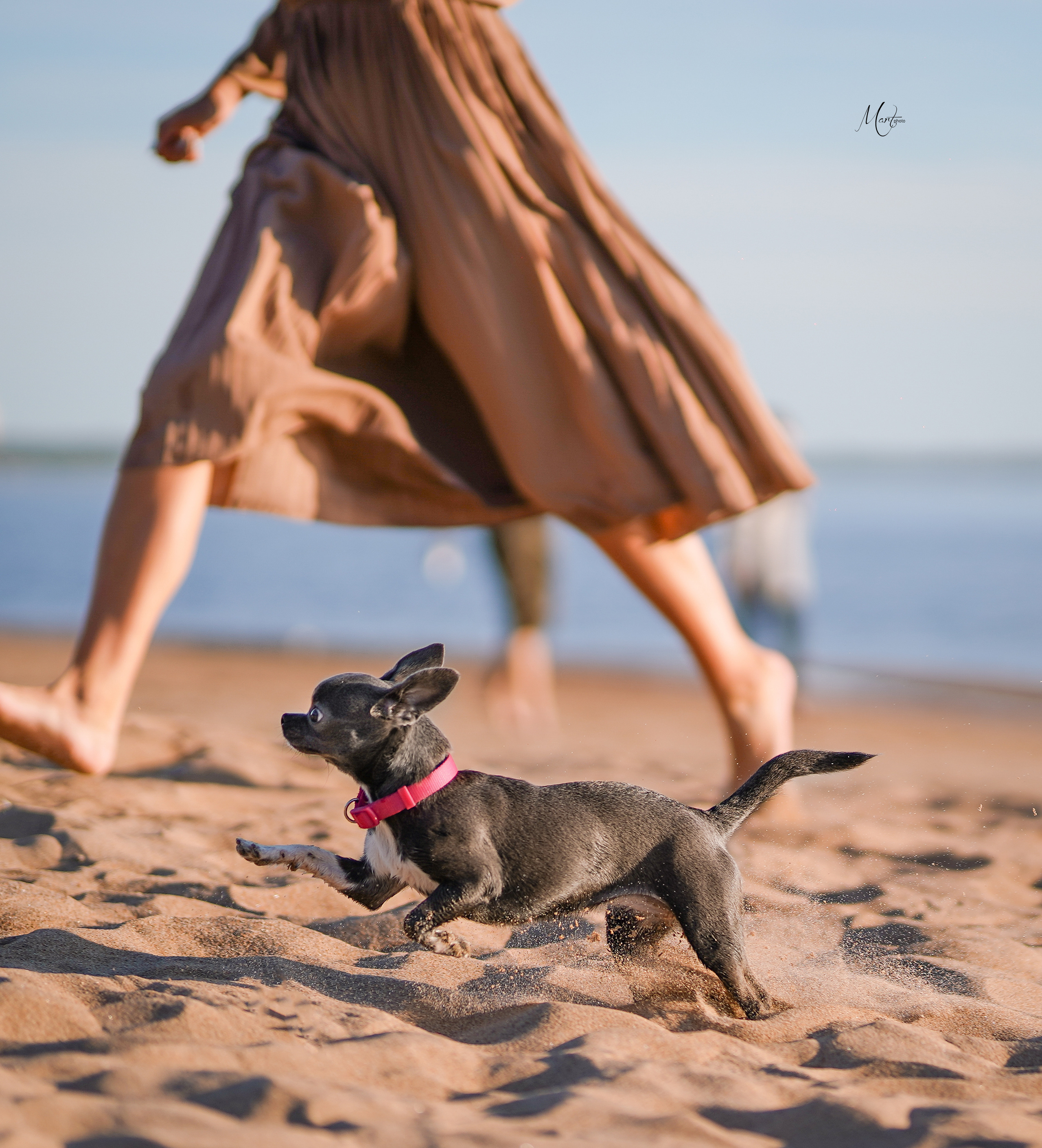 Кристина и банда чихов. Фотограф-анималист в Санкт-Петербурге Яна Мартынова