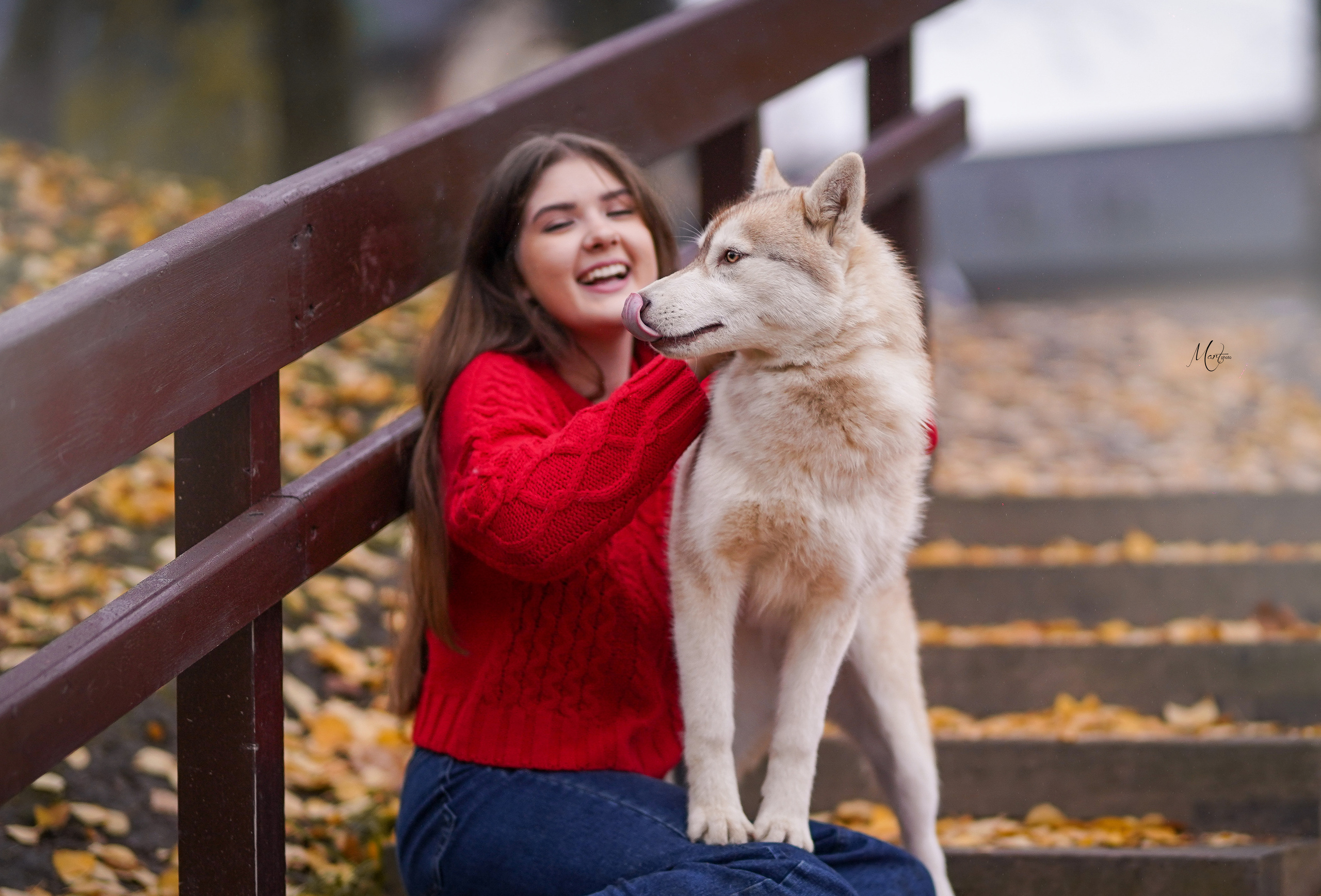 Саша и хаси. Фотограф-анималист в Санкт-Петербурге Яна Мартынова