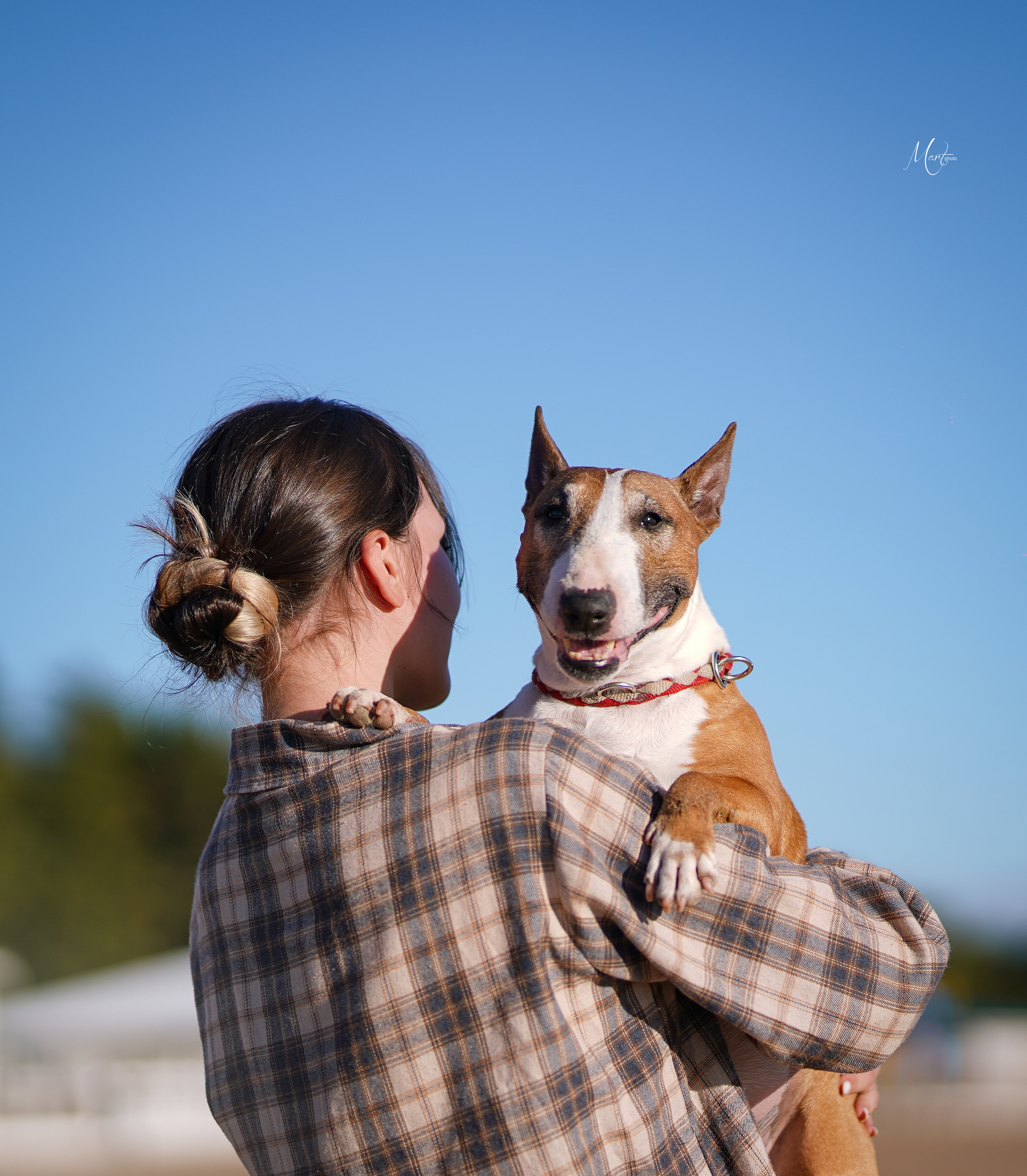 Моня, Оксана и Таисия. Фотограф-анималист в Санкт-Петербурге Яна Мартынова