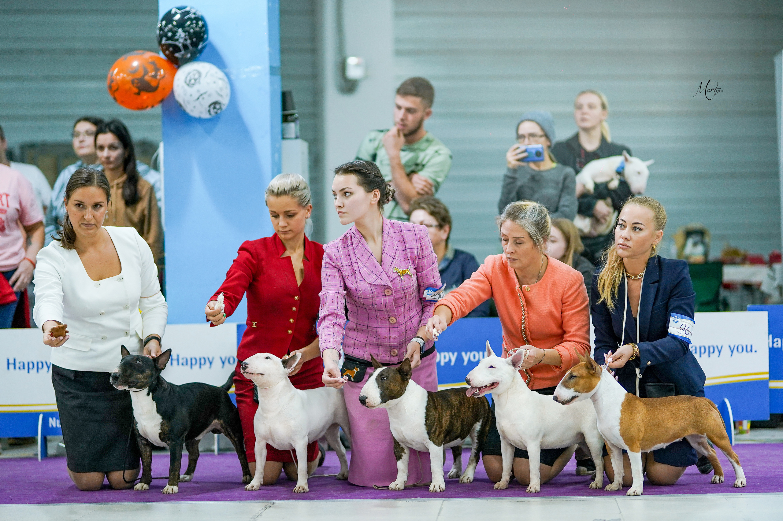 Выставки 2022. Фотограф-анималист в Санкт-Петербурге Яна Мартынова