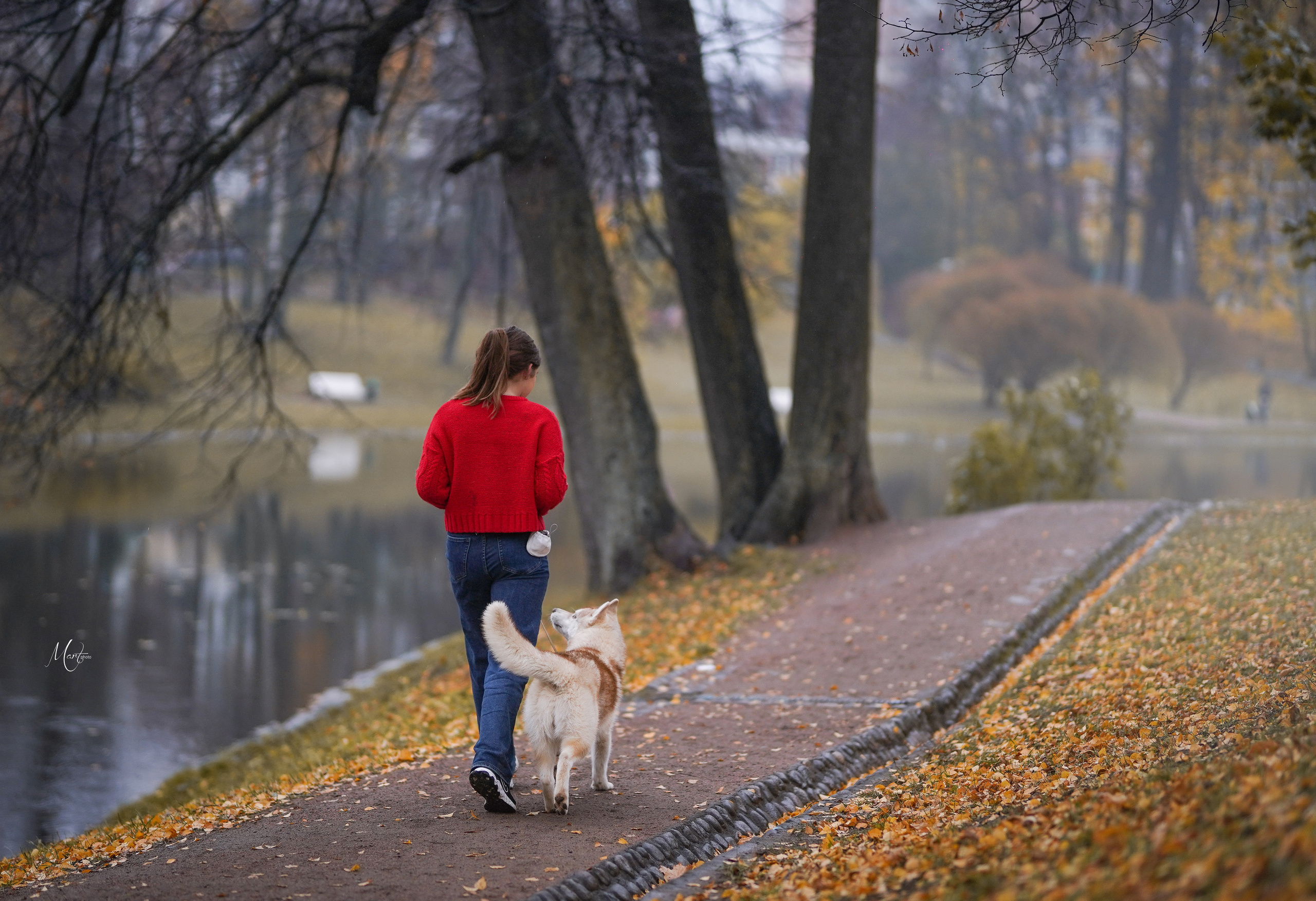 Саша и хаси. Фотограф-анималист в Санкт-Петербурге Яна Мартынова