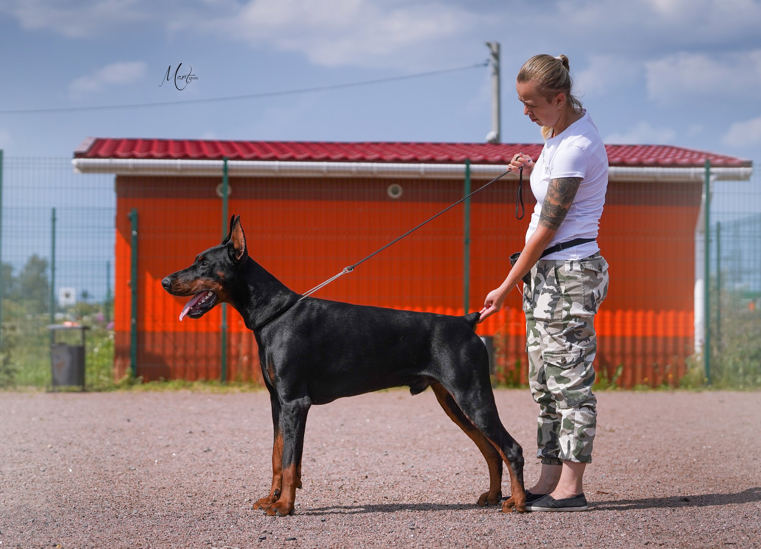 Экстерьерная съемка 2022. Фотограф-анималист в Санкт-Петербурге Яна Мартынова