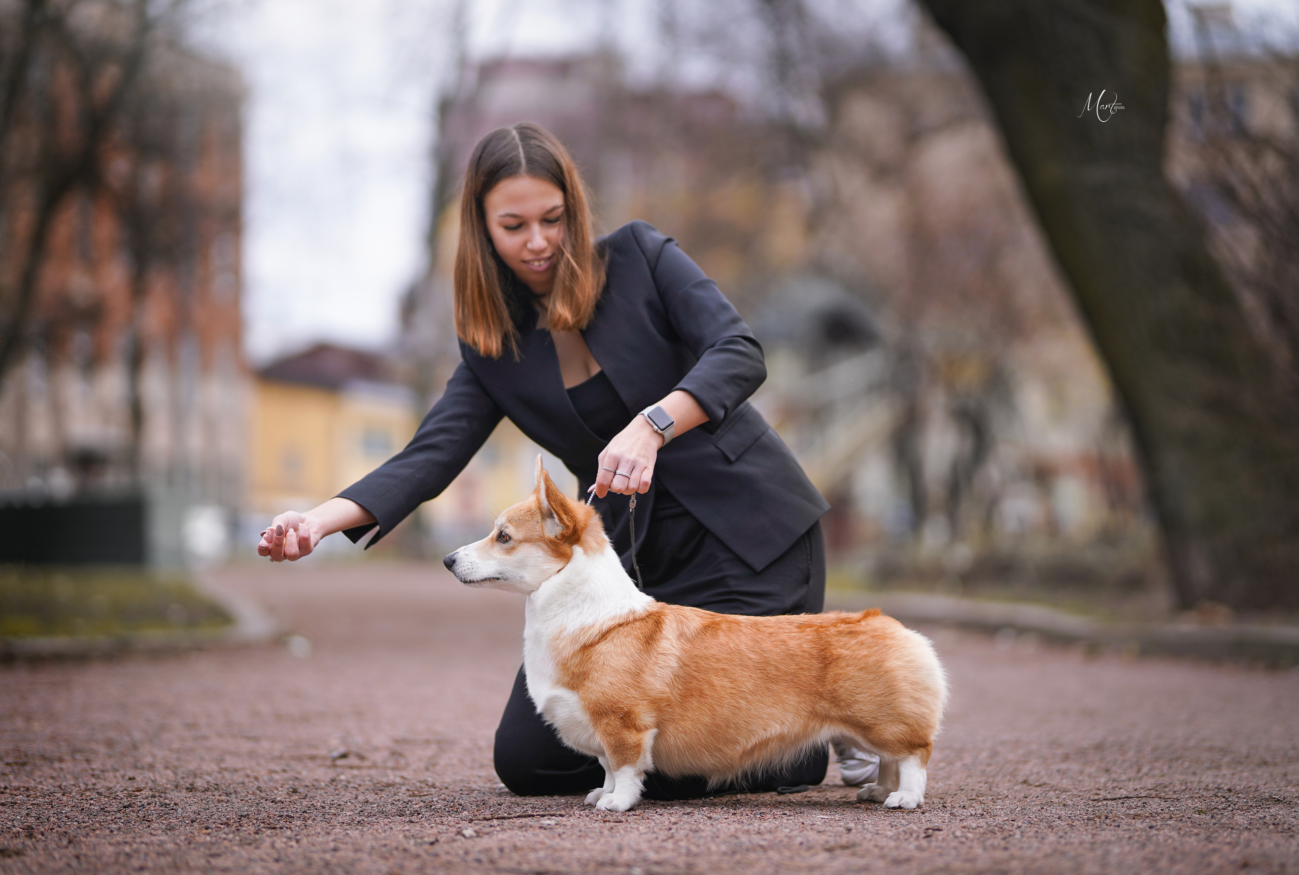 Экстерьерная съемка 2022. Фотограф-анималист в Санкт-Петербурге Яна Мартынова