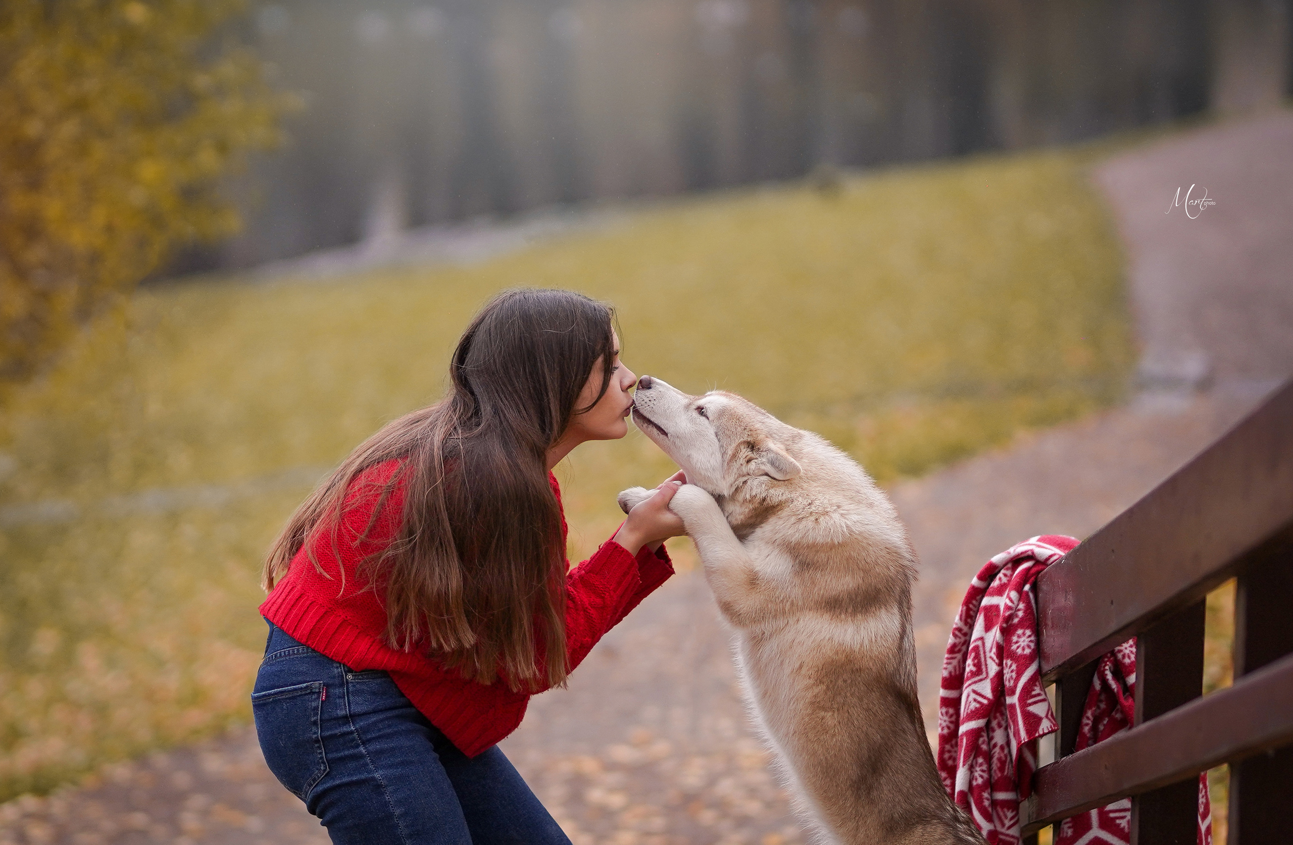 Саша и хаси. Фотограф-анималист в Санкт-Петербурге Яна Мартынова