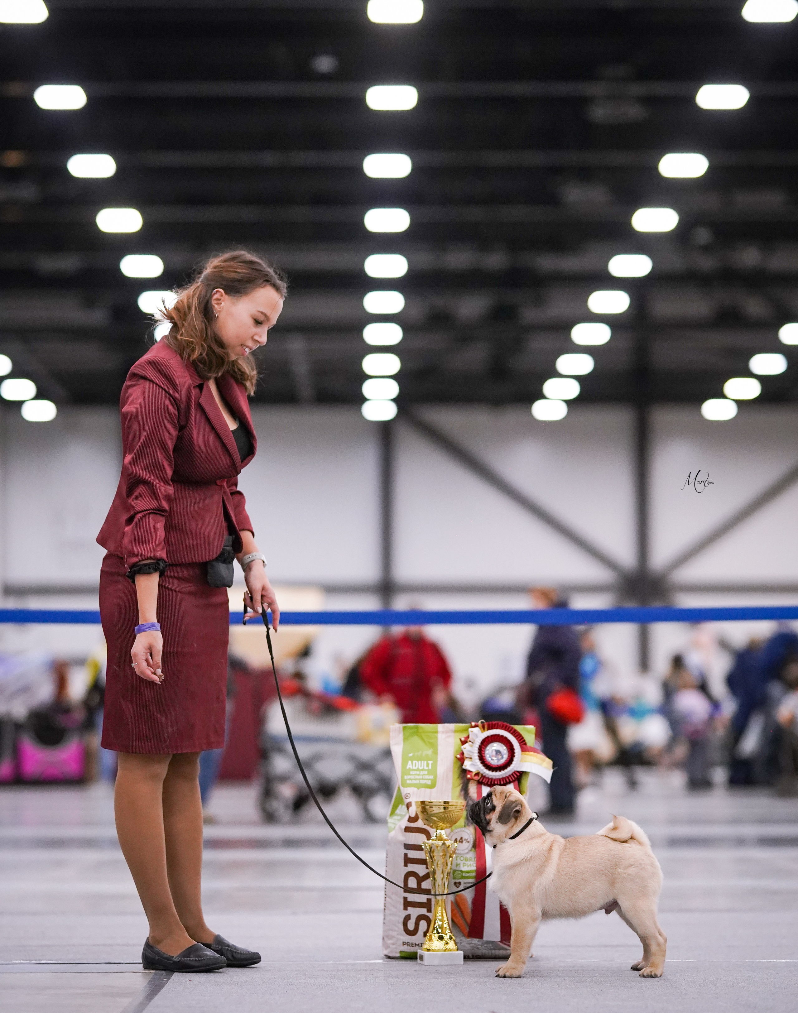 Выставки 2022. Фотограф-анималист в Санкт-Петербурге Яна Мартынова