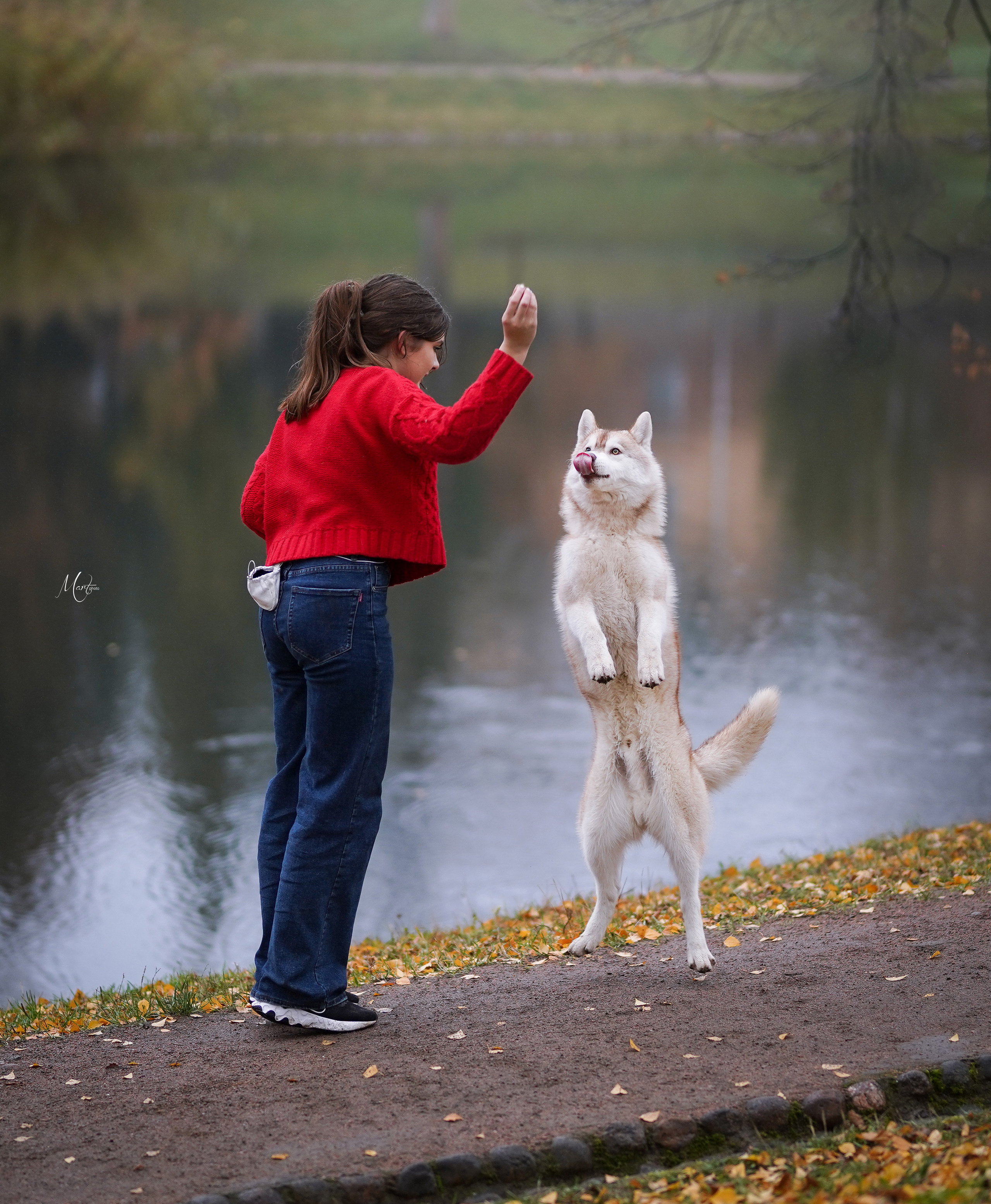 Саша и хаси. Фотограф-анималист в Санкт-Петербурге Яна Мартынова