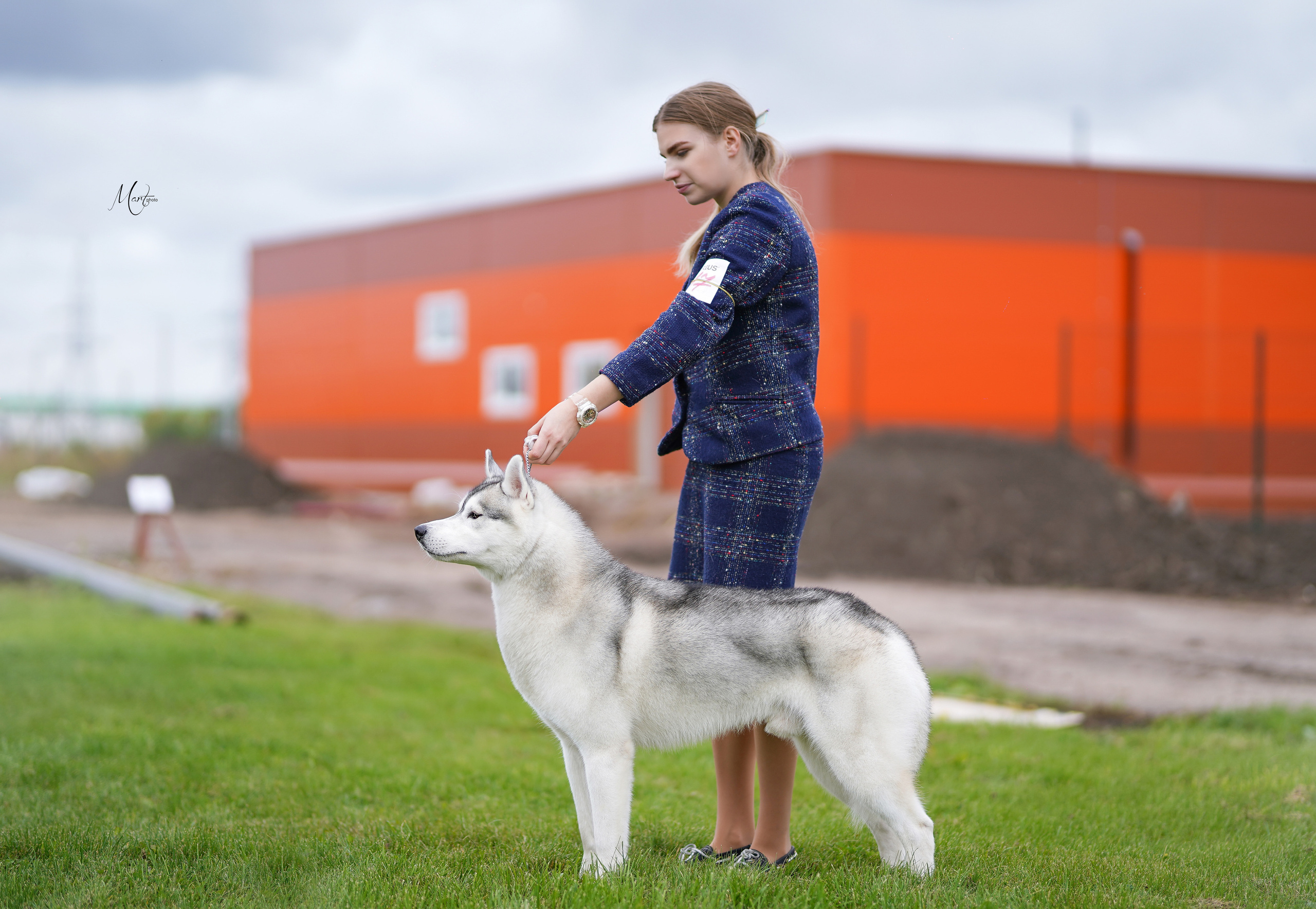 Экстерьерная съемка 2022. Фотограф-анималист в Санкт-Петербурге Яна Мартынова