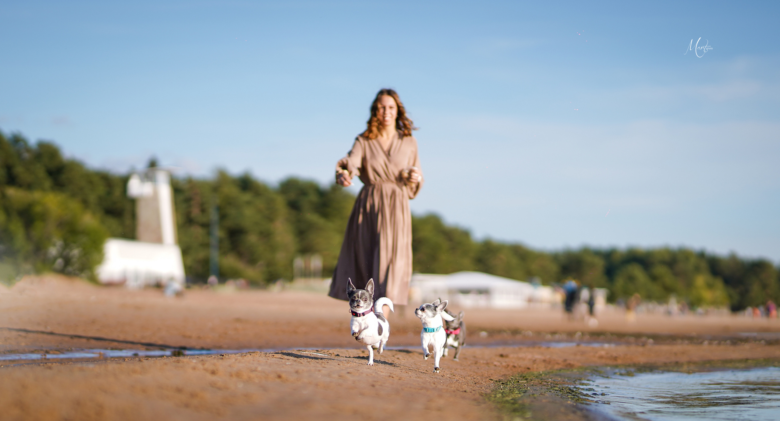 Кристина и банда чихов. Фотограф-анималист в Санкт-Петербурге Яна Мартынова