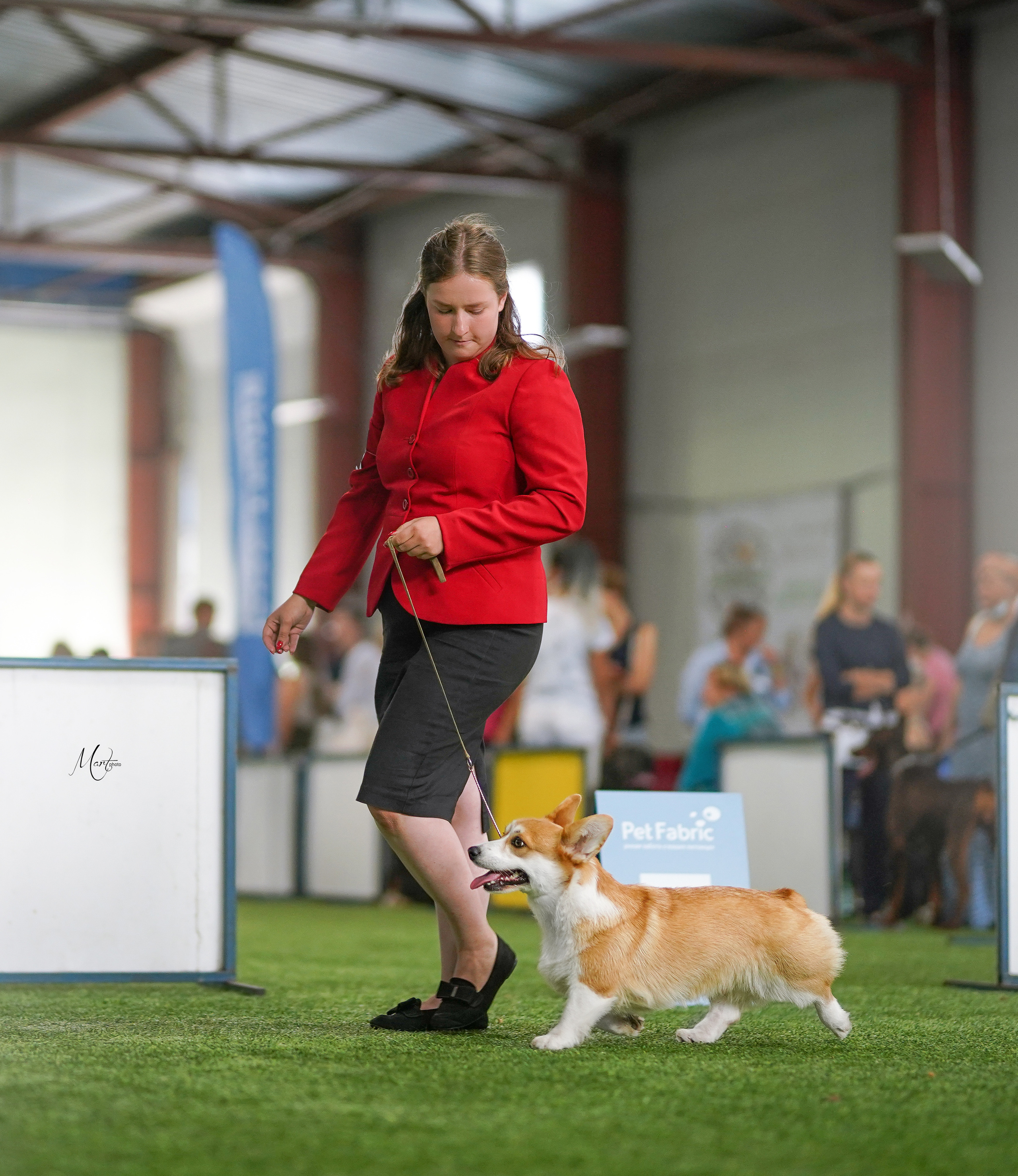 Выставки 2022. Фотограф-анималист в Санкт-Петербурге Яна Мартынова