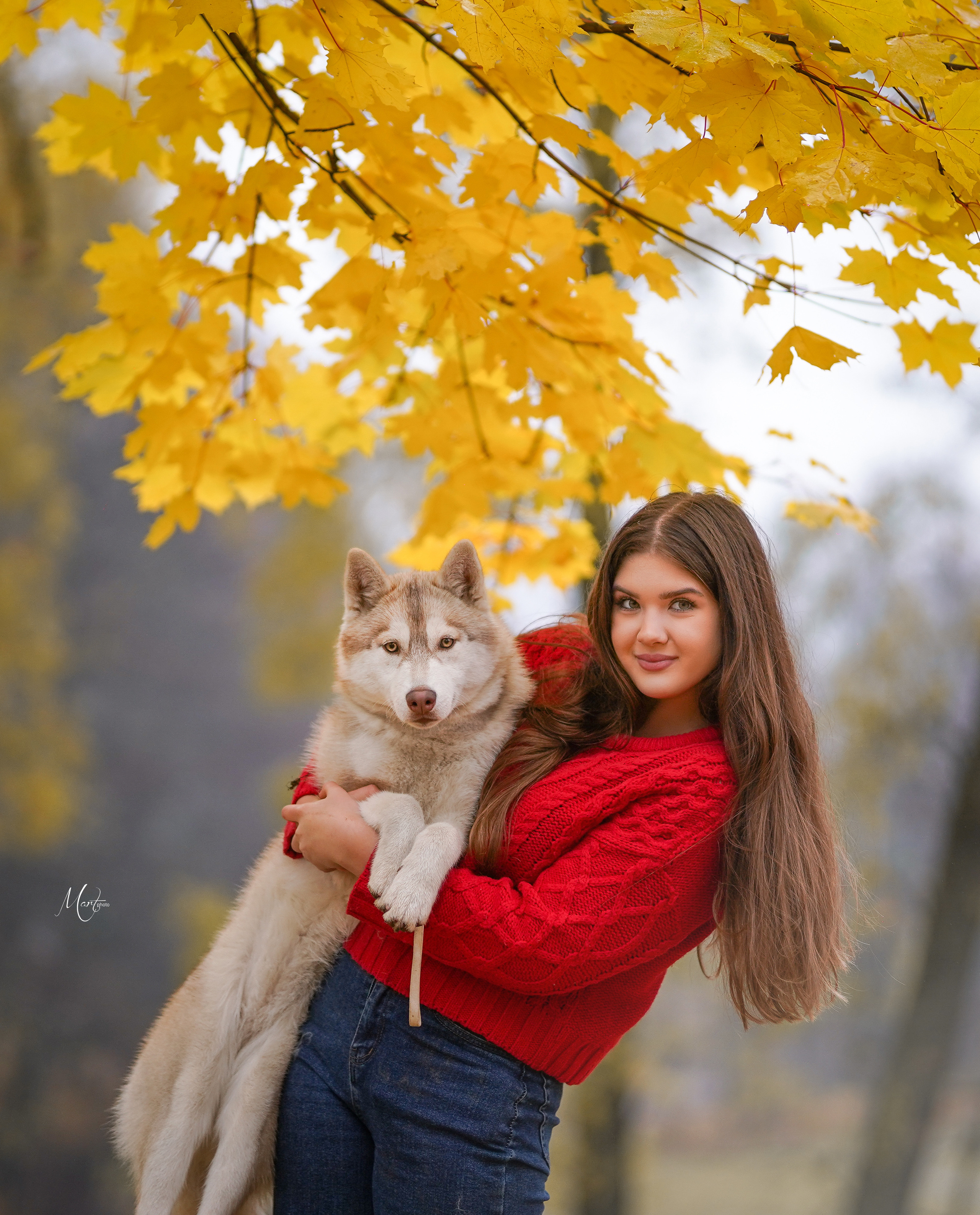 Саша и хаси. Фотограф-анималист в Санкт-Петербурге Яна Мартынова