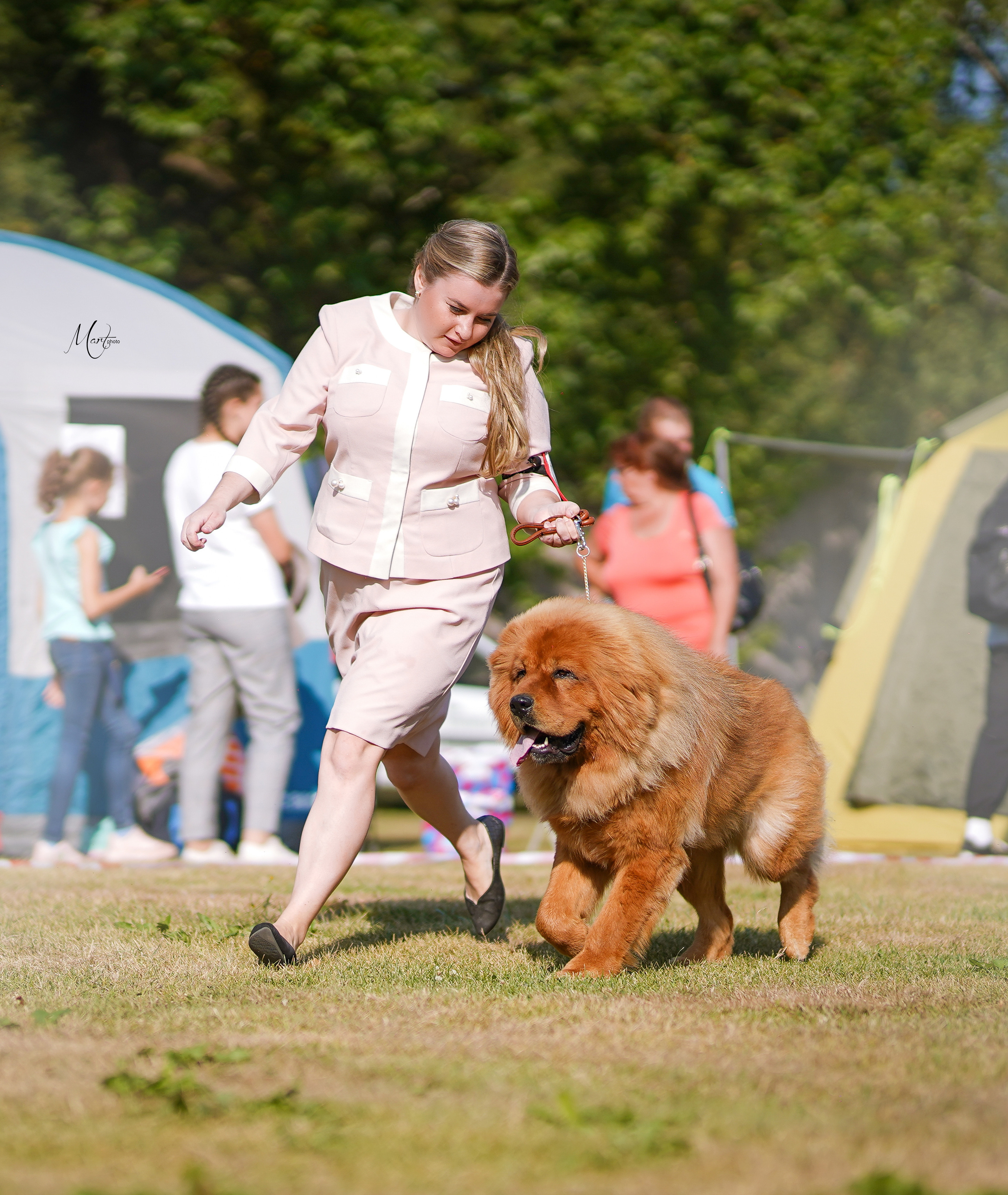 Выставки 2022. Фотограф-анималист в Санкт-Петербурге Яна Мартынова